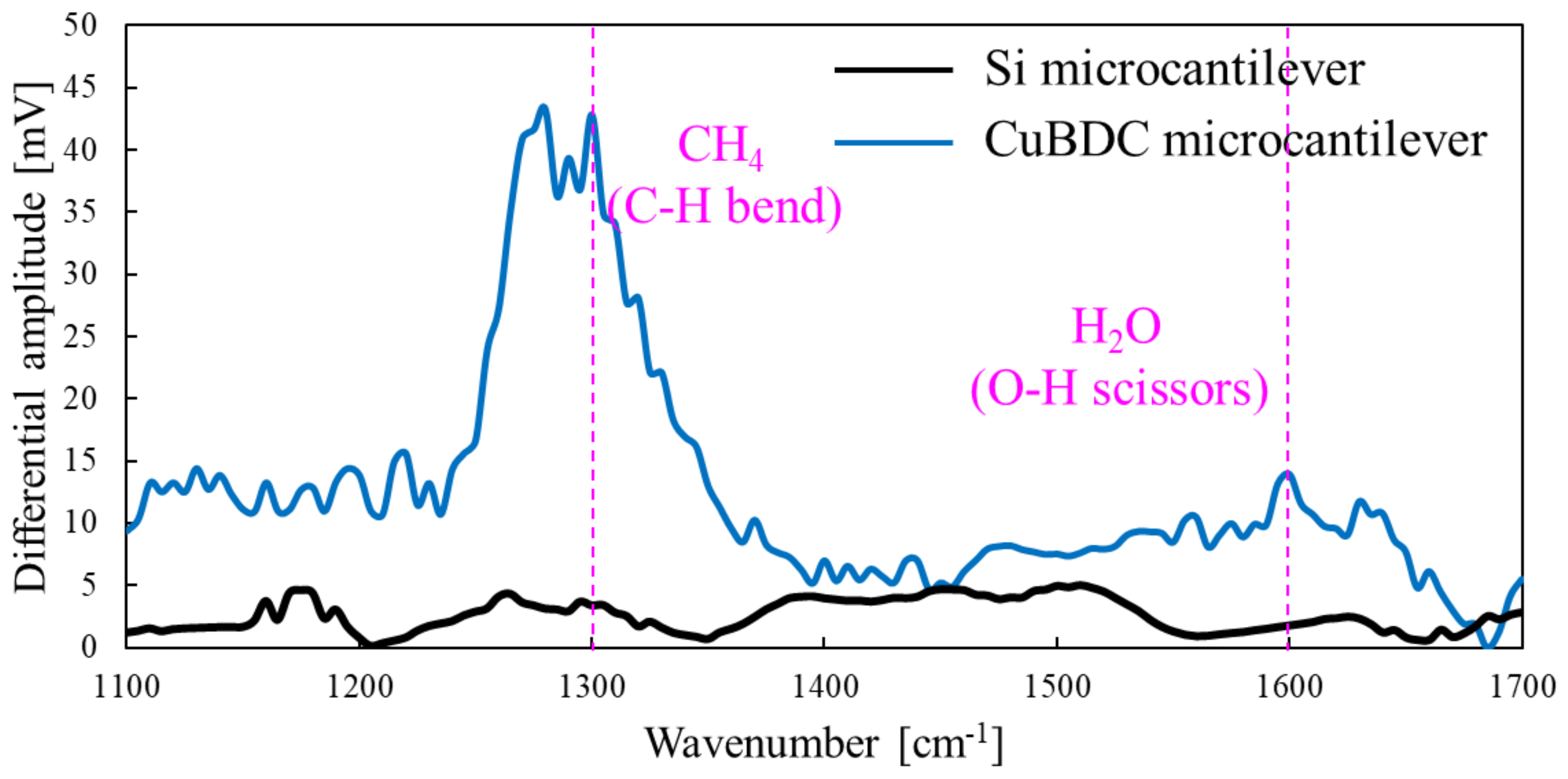 Chemosensors 13 00008 g009
