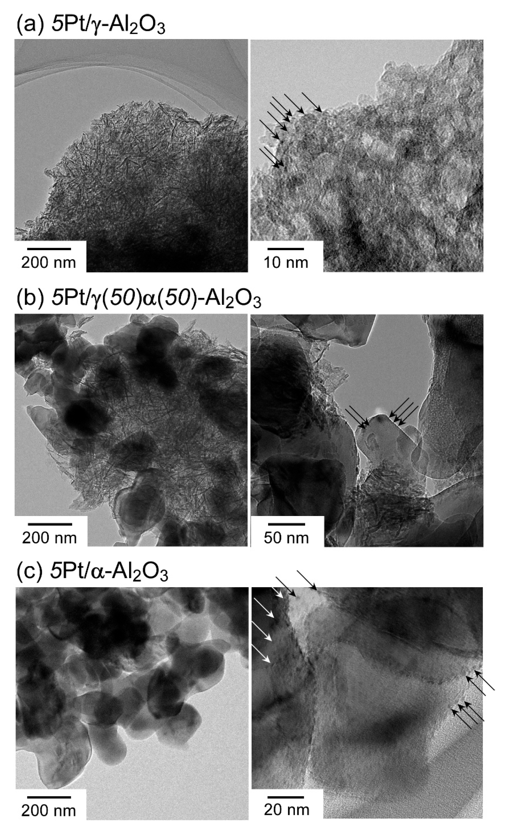 Chemosensors 13 00009 g005