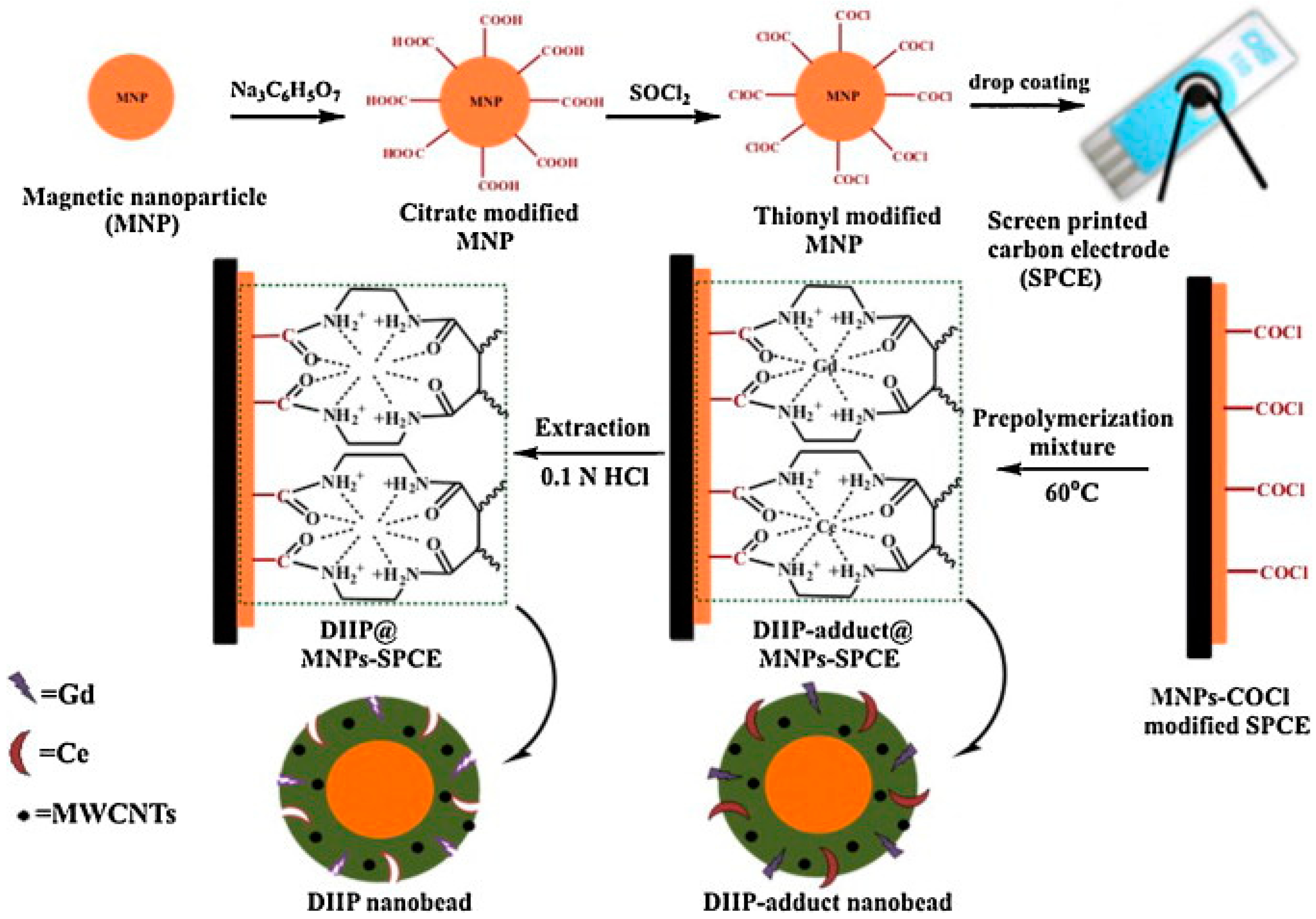 Chemosensors 13 00011 g002