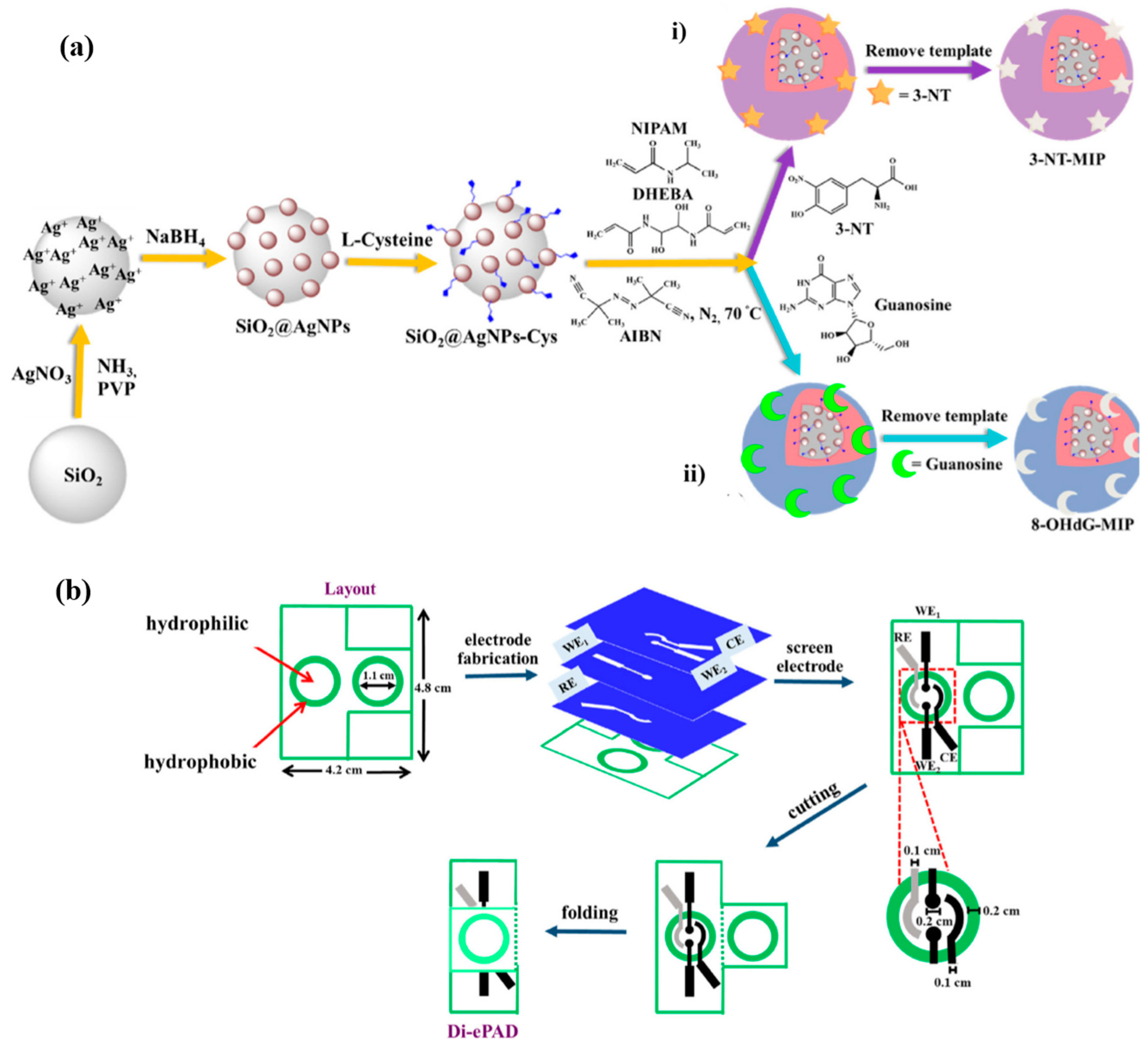 Chemosensors 13 00011 g003