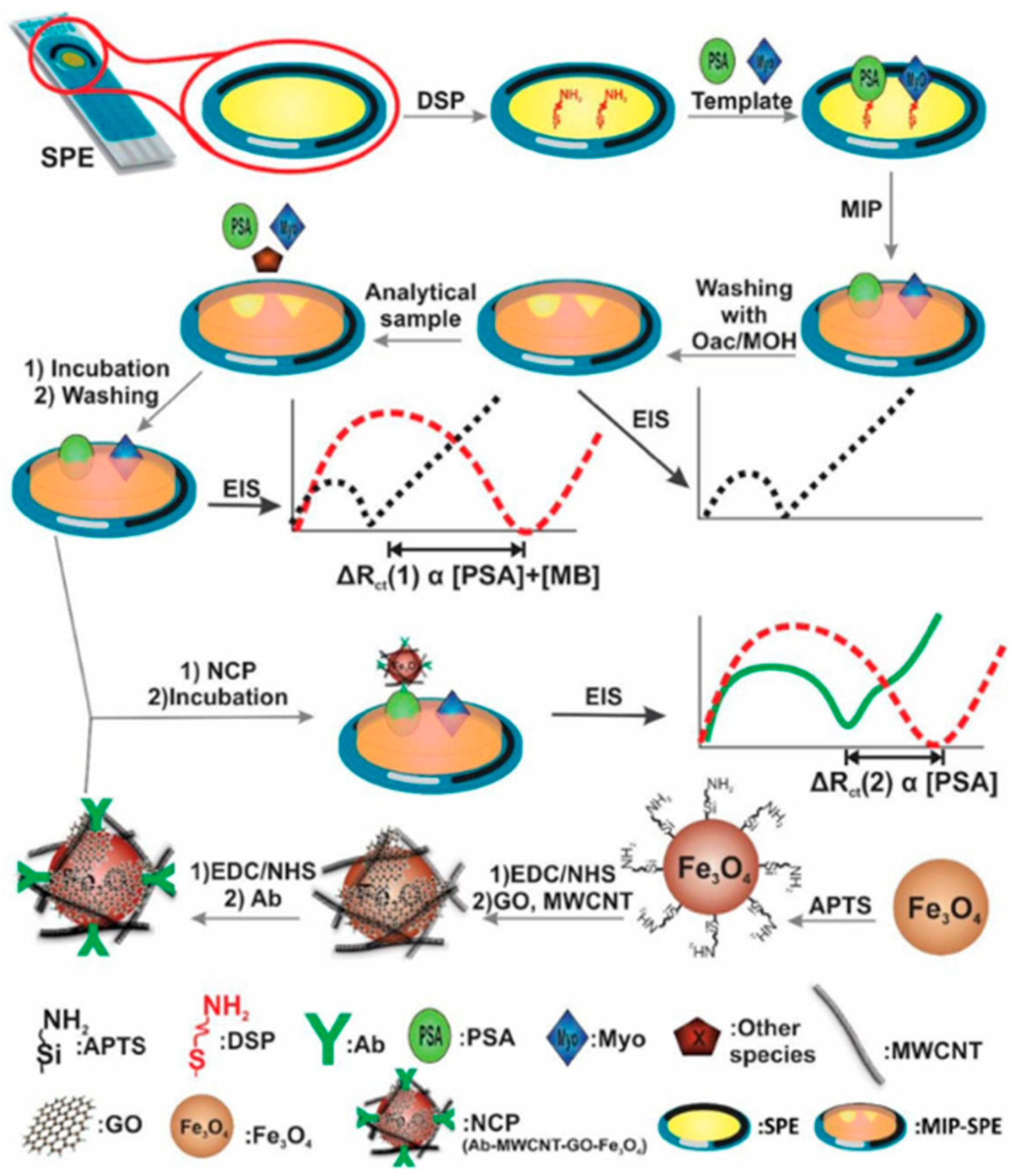 Chemosensors 13 00011 g004