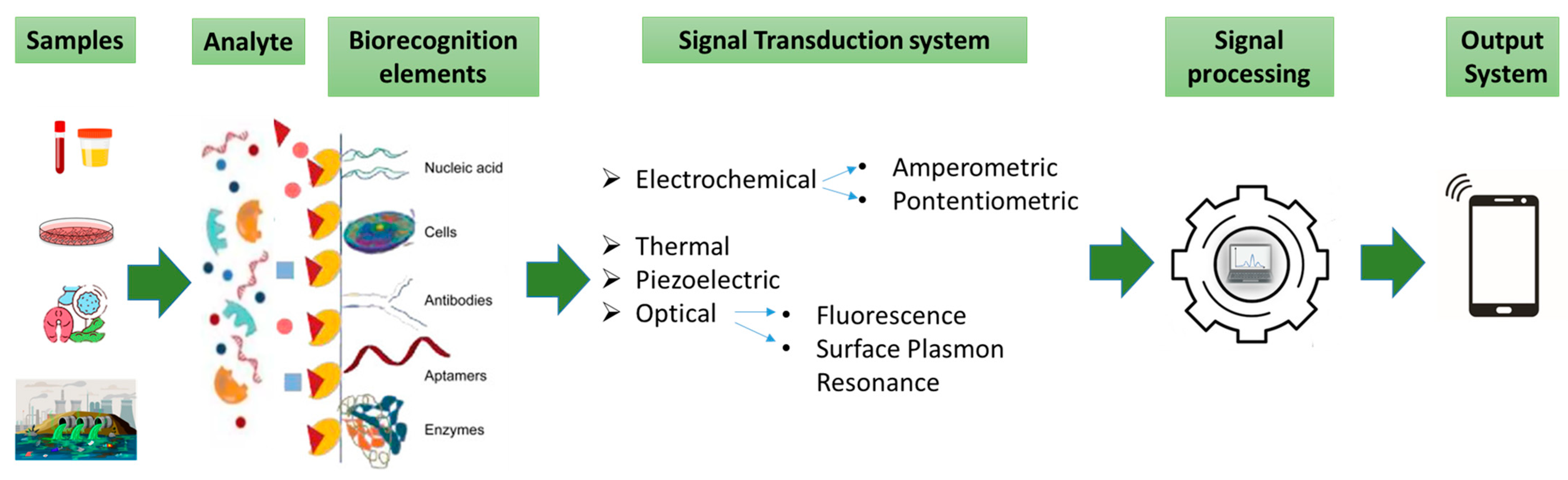 Chemosensors 13 00012 g003 Chemosensors 13 00012 g003