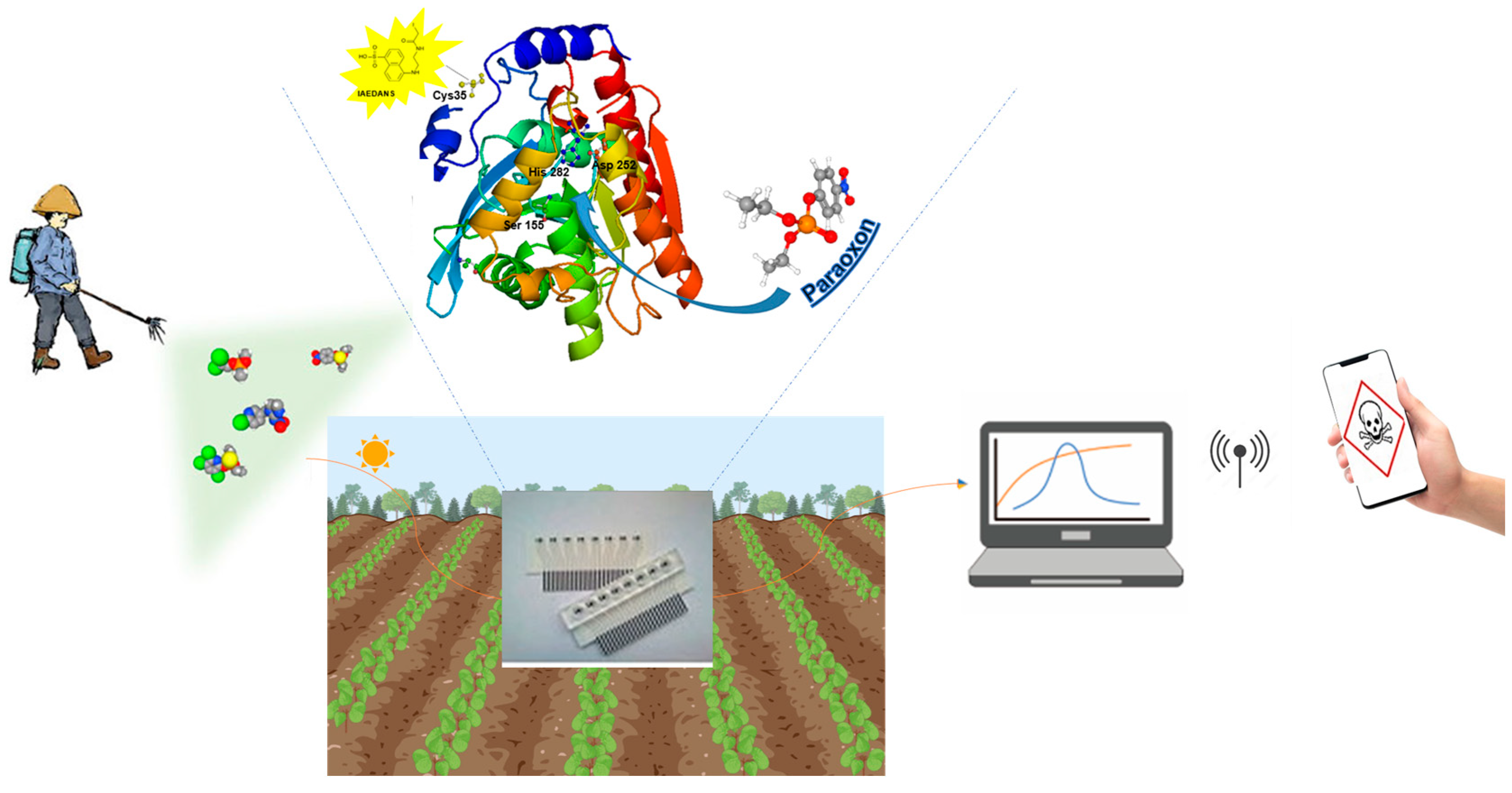 Chemosensors 13 00012 g004 Chemosensors 13 00012 g004
