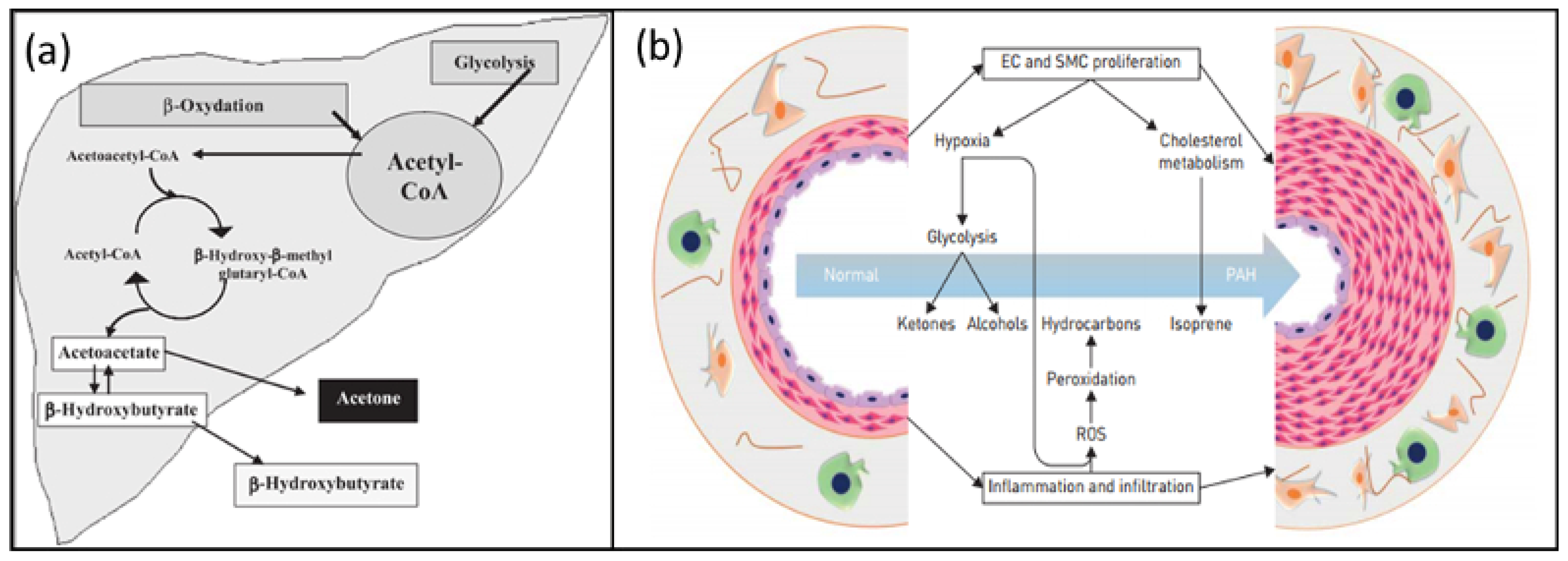 Chemosensors 13 00015 g002 Chemosensors 13 00015 g002