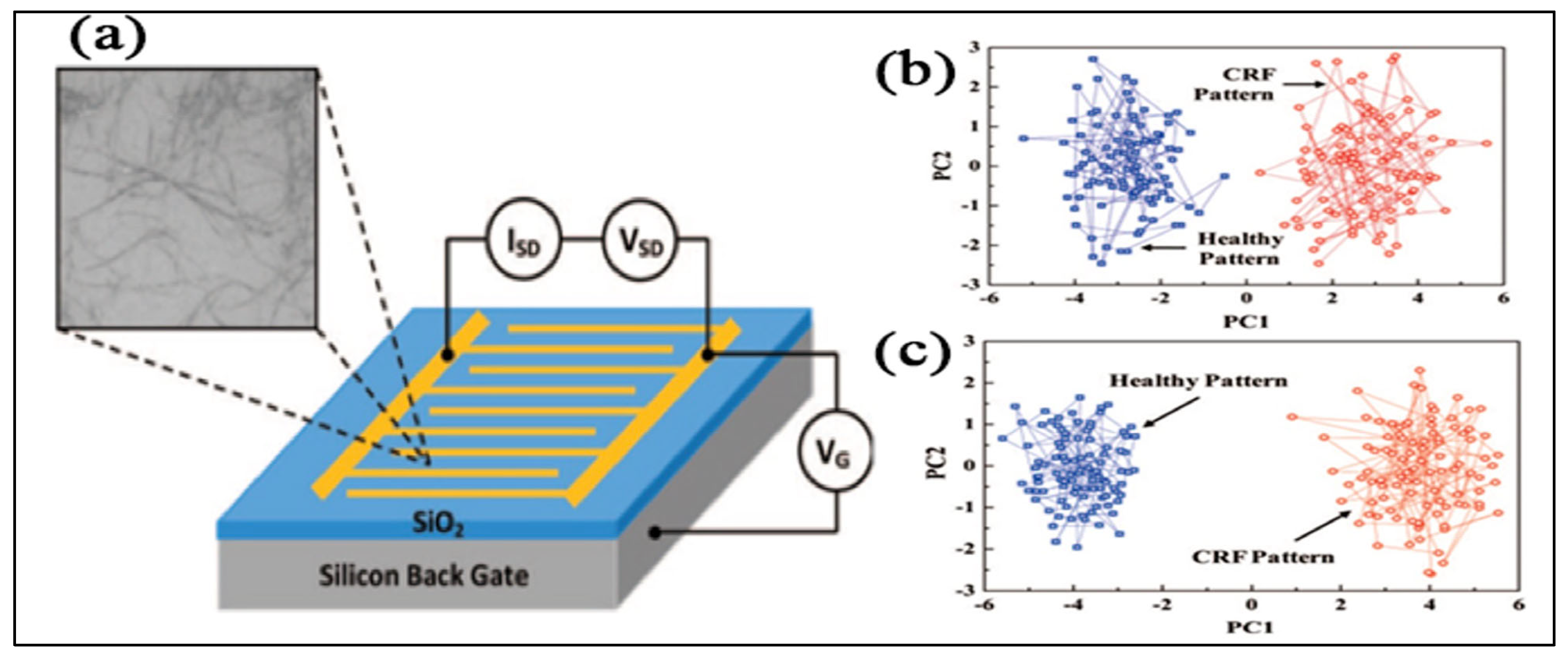 Chemosensors 13 00015 g005 Chemosensors 13 00015 g005