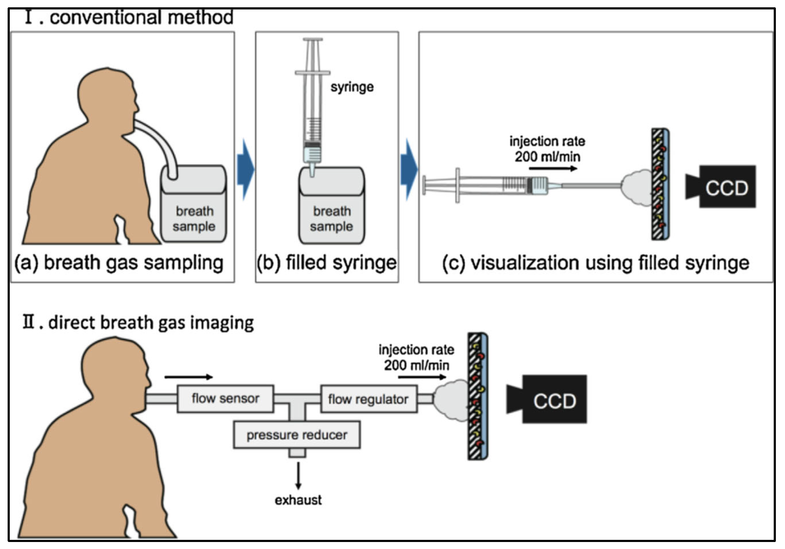Chemosensors 13 00015 g006 Chemosensors 13 00015 g006