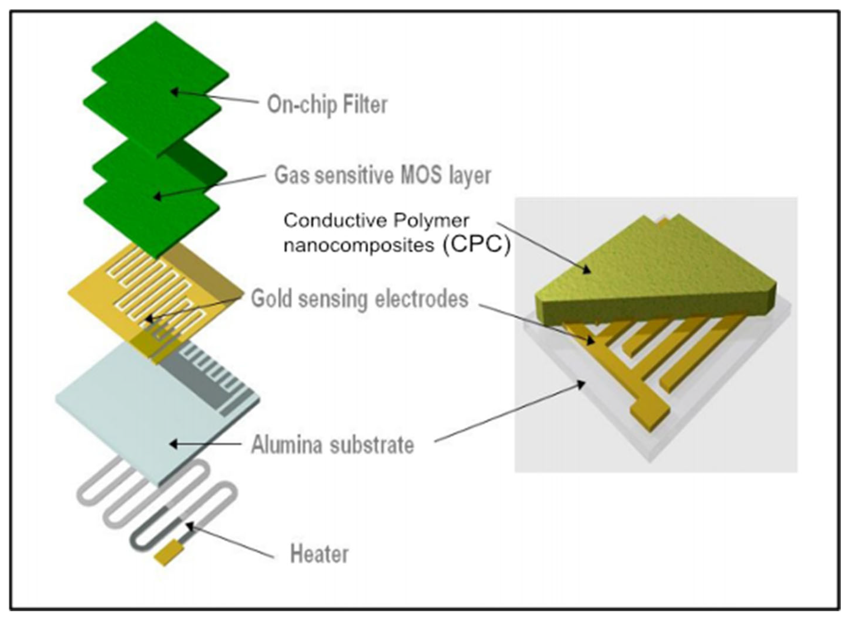 Chemosensors 13 00015 g007 Chemosensors 13 00015 g007