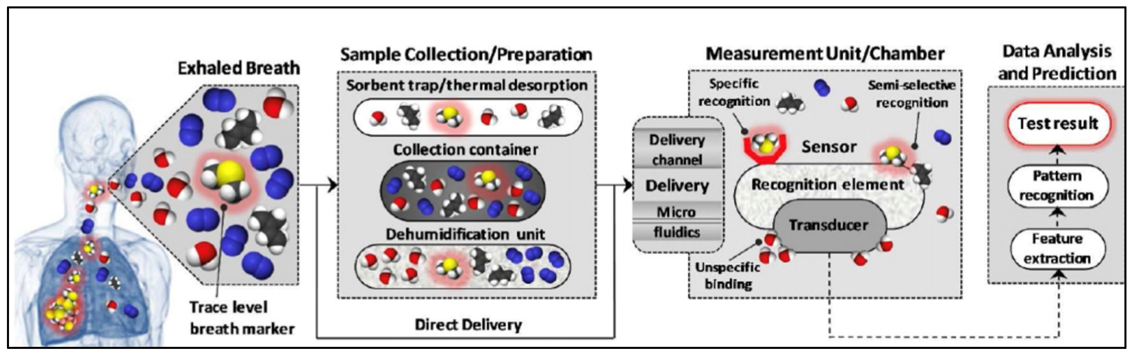 Chemosensors 13 00015 g014 Chemosensors 13 00015 g014