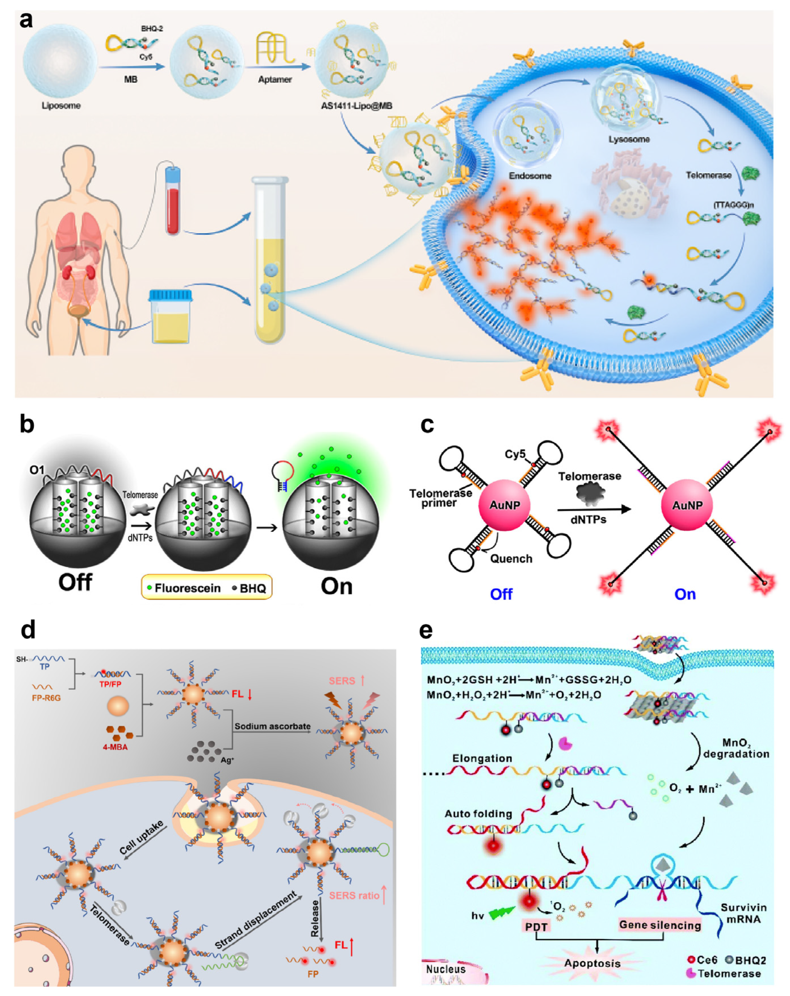 Chemosensors 13 00017 g001