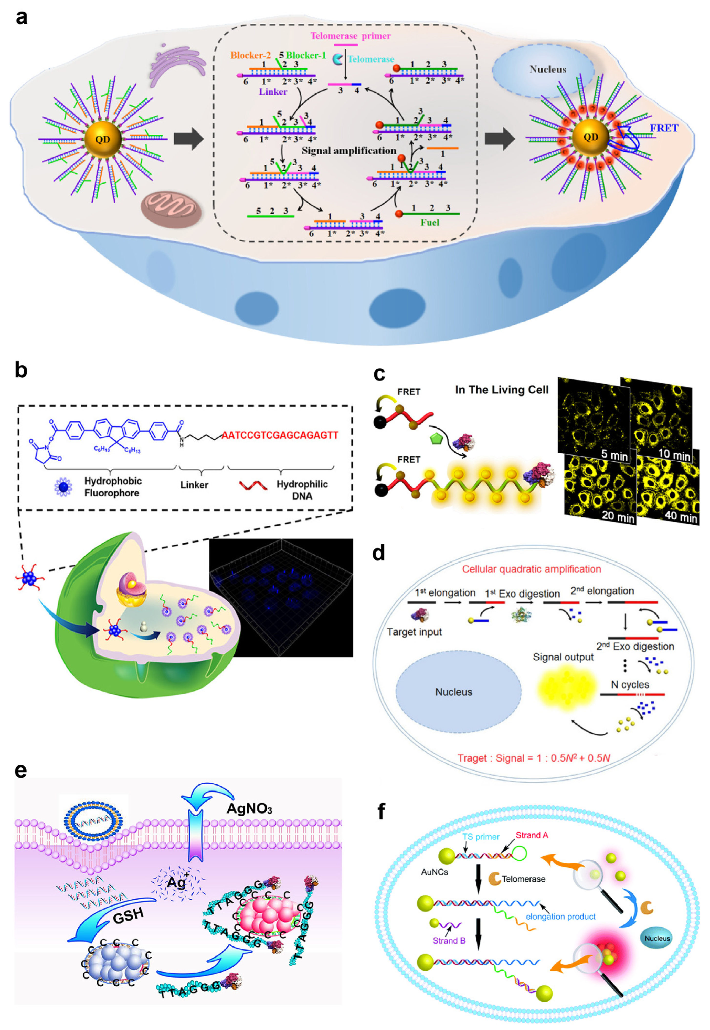 Chemosensors 13 00017 g002