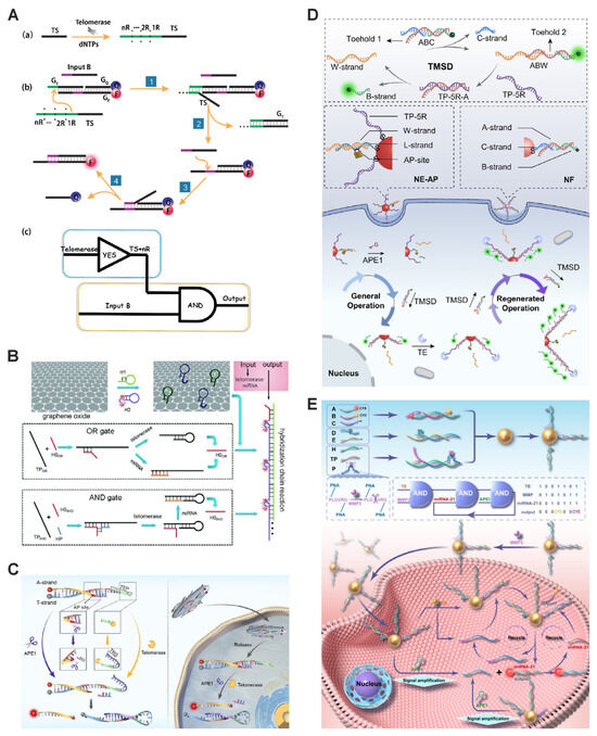 Chemosensors 13 00017 g003