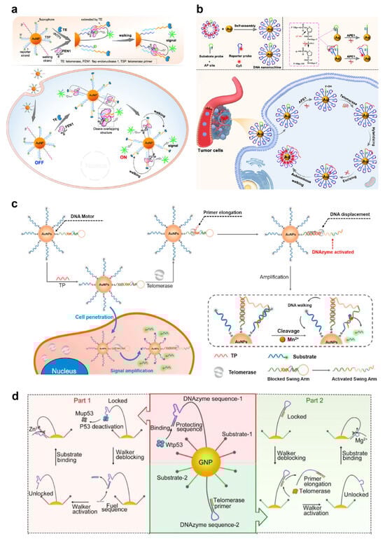 Chemosensors 13 00017 g004