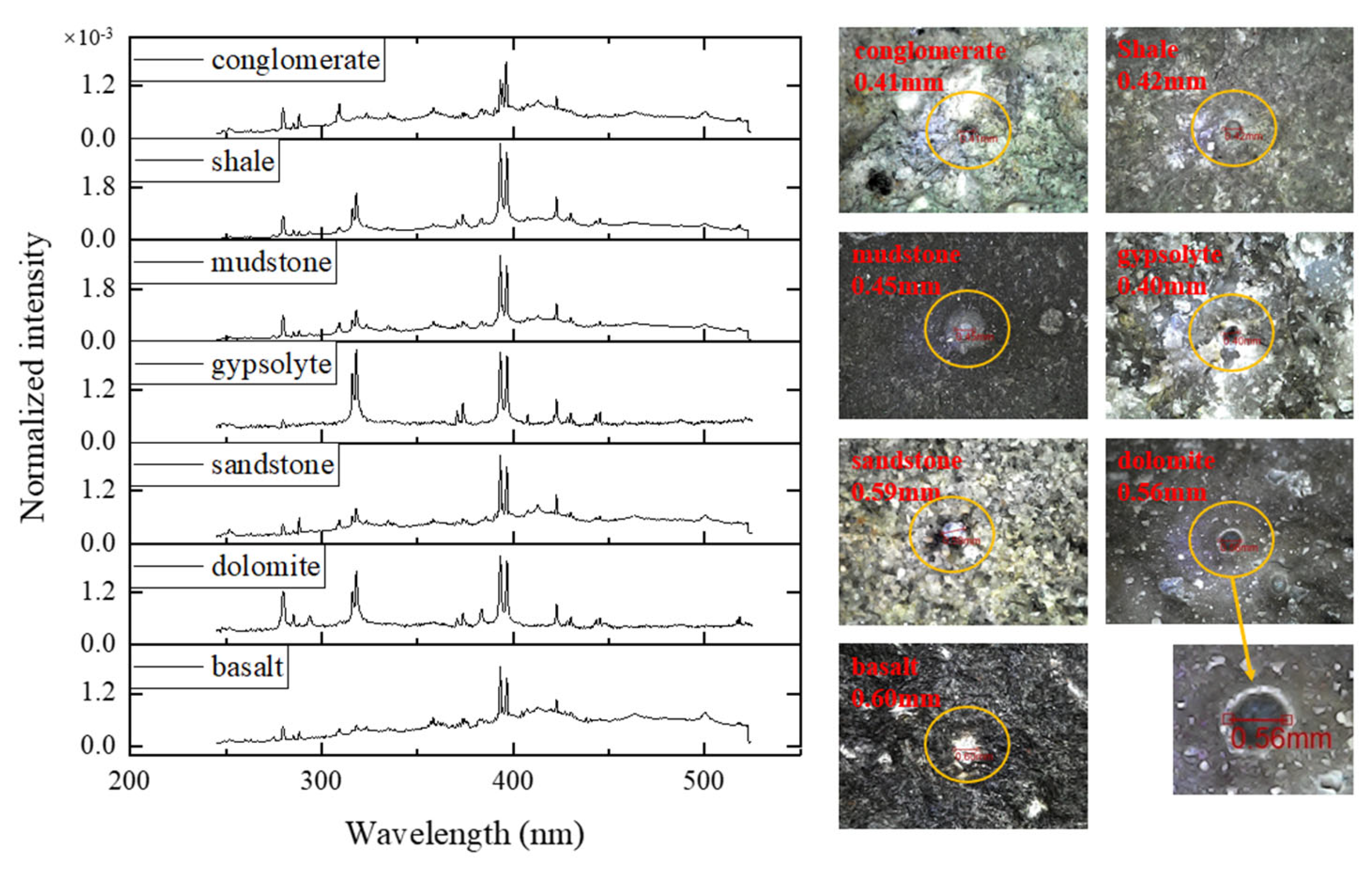 Chemosensors 13 00018 g004