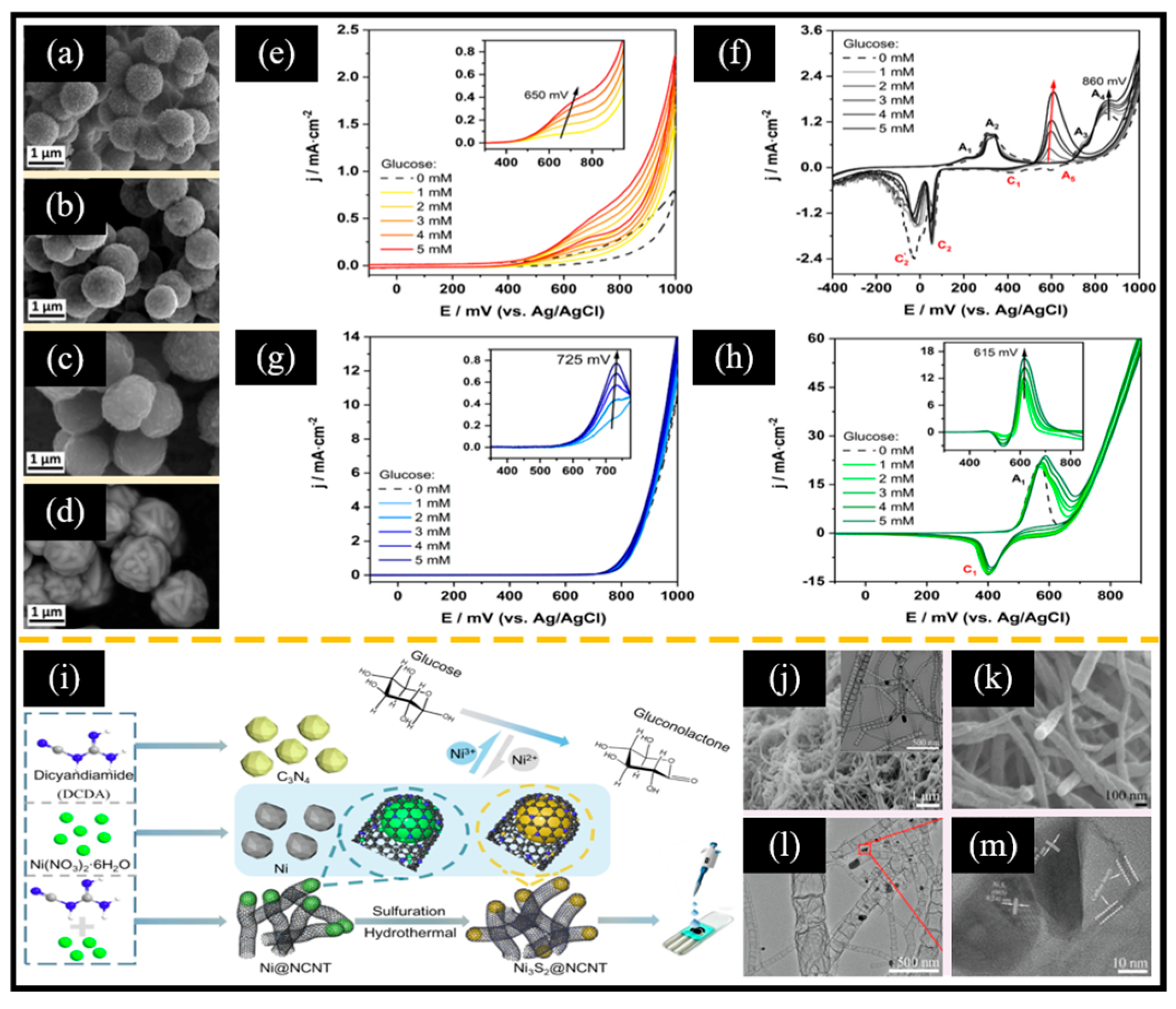 Chemosensors 13 00019 g009