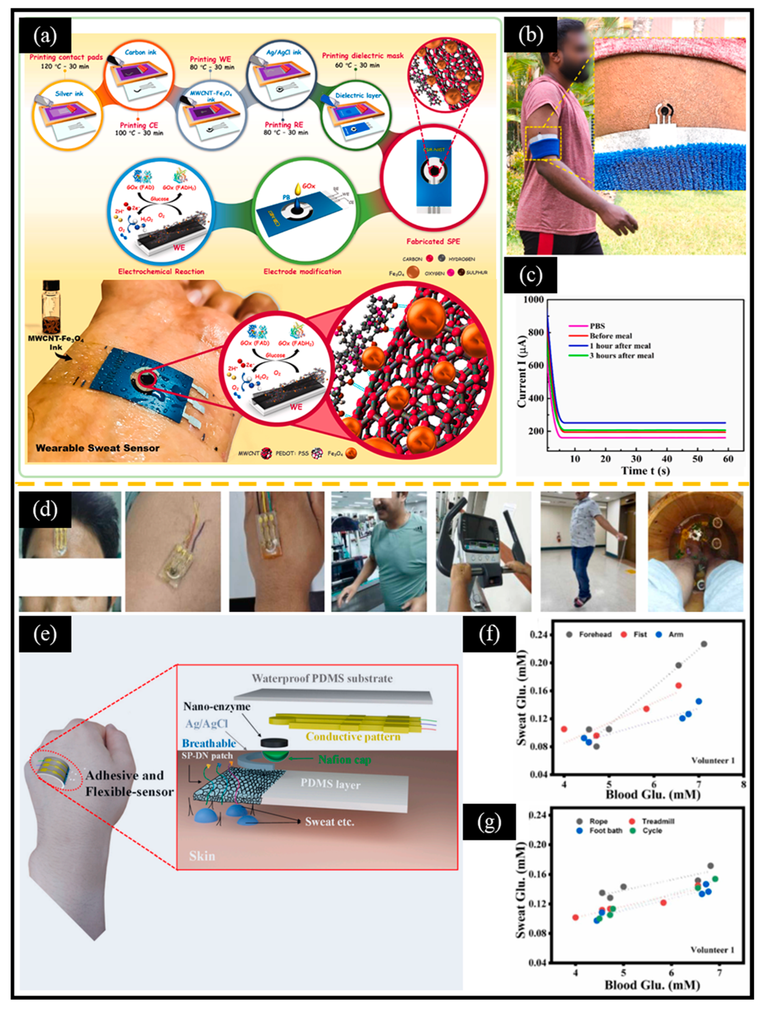 Chemosensors 13 00019 g011