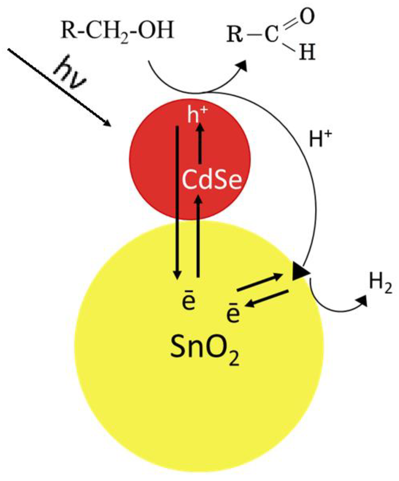 Chemosensors 13 00020 g001