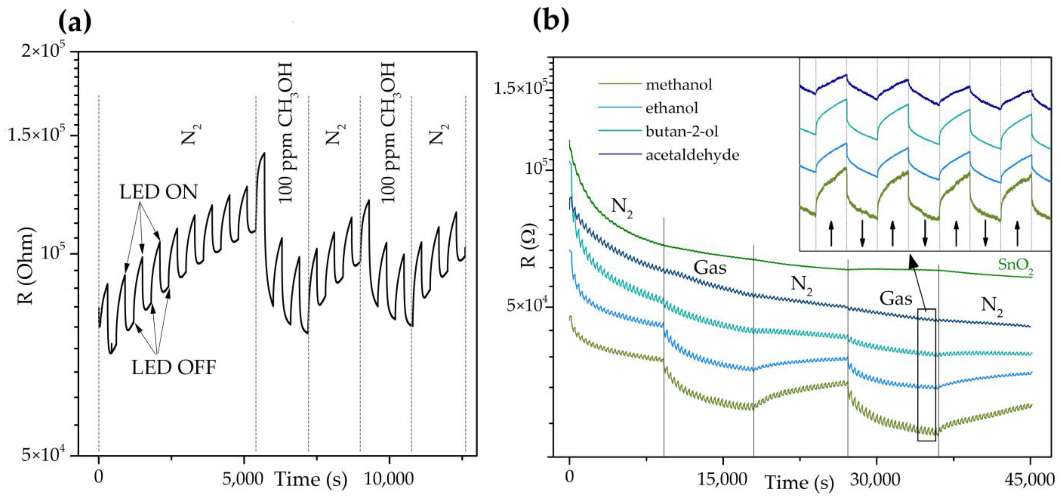 Chemosensors 13 00020 g006