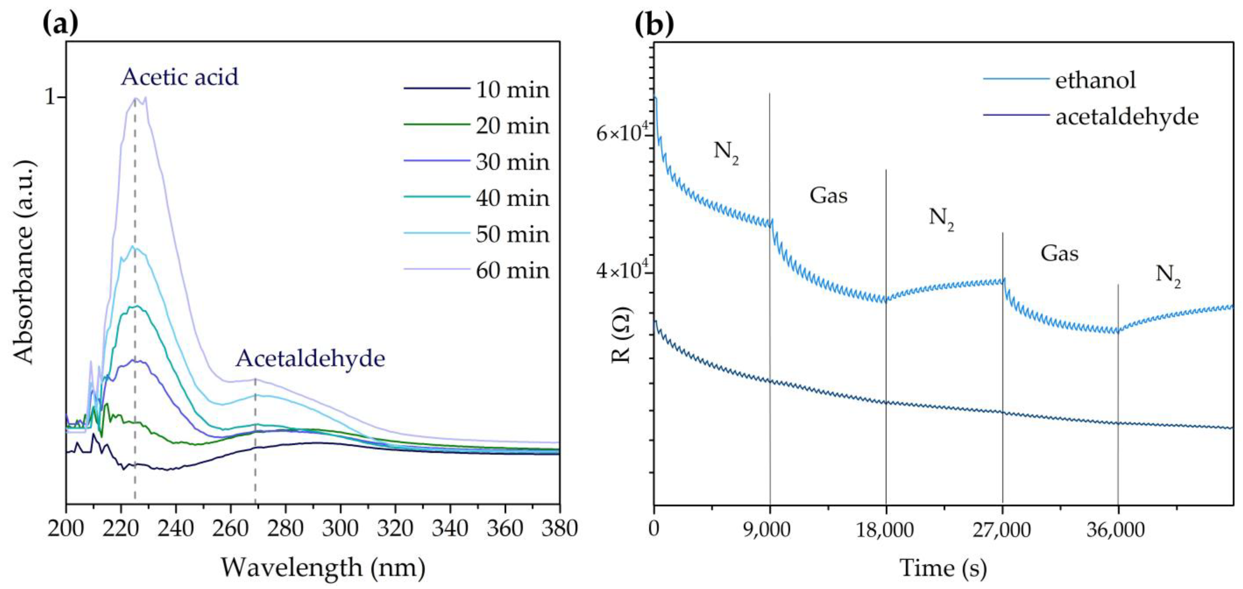 Chemosensors 13 00020 g008