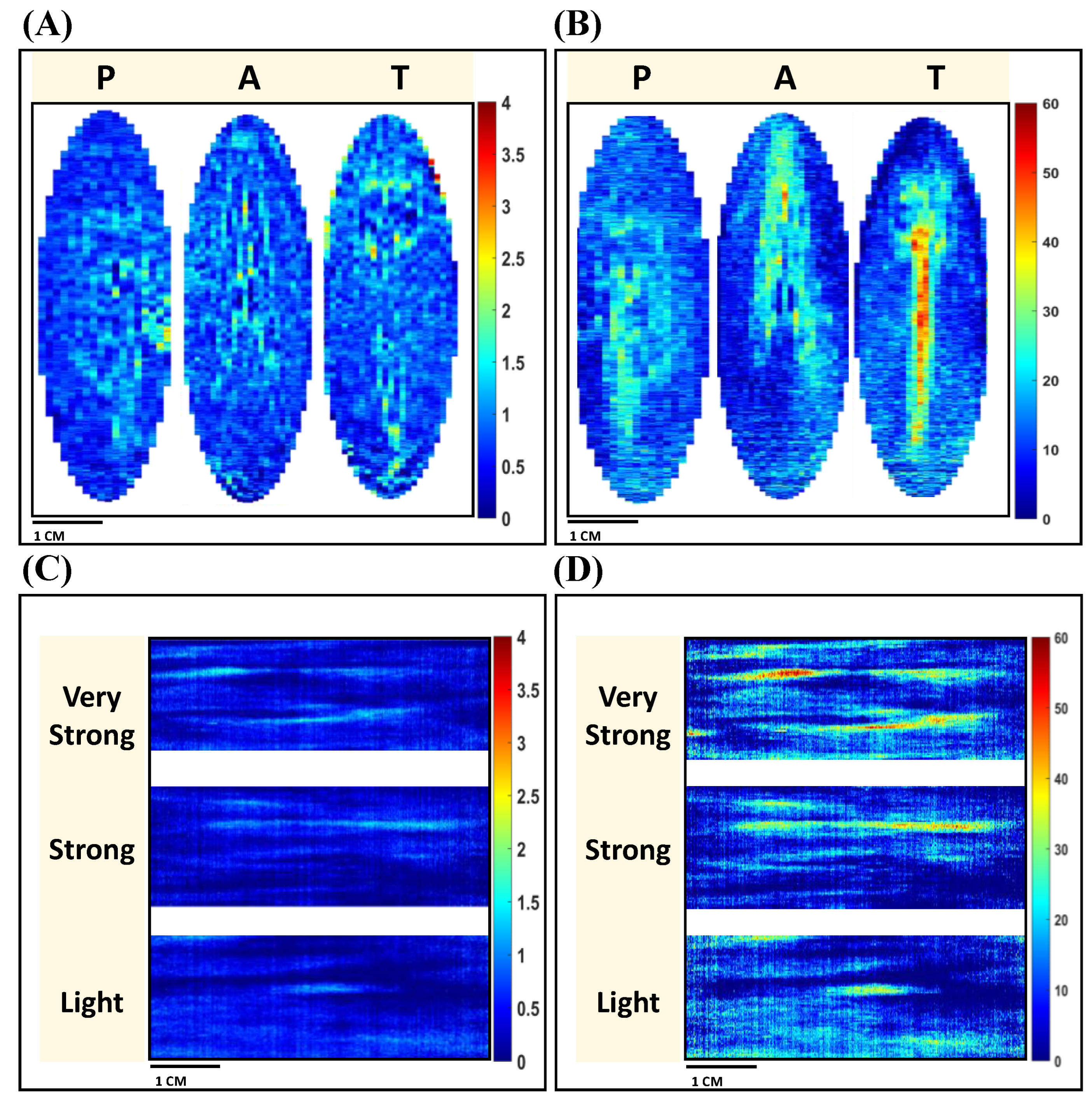 Chemosensors 13 00021 g004