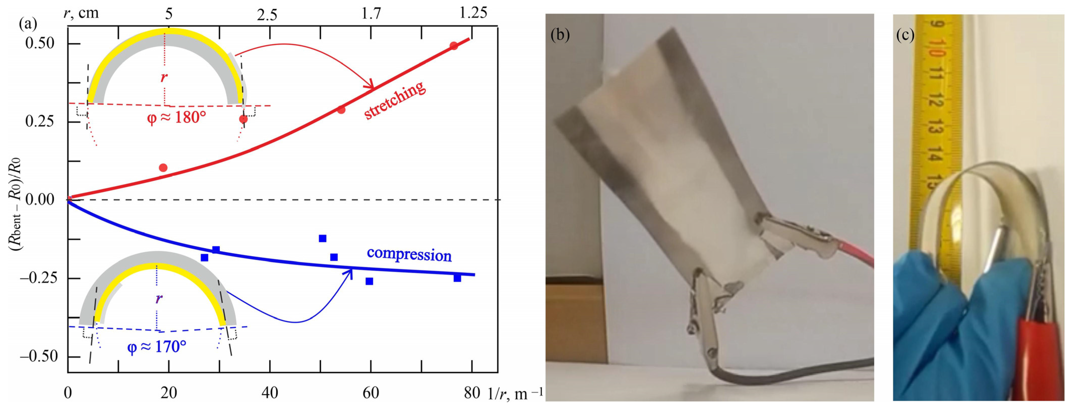 Chemosensors 13 00029 g011
