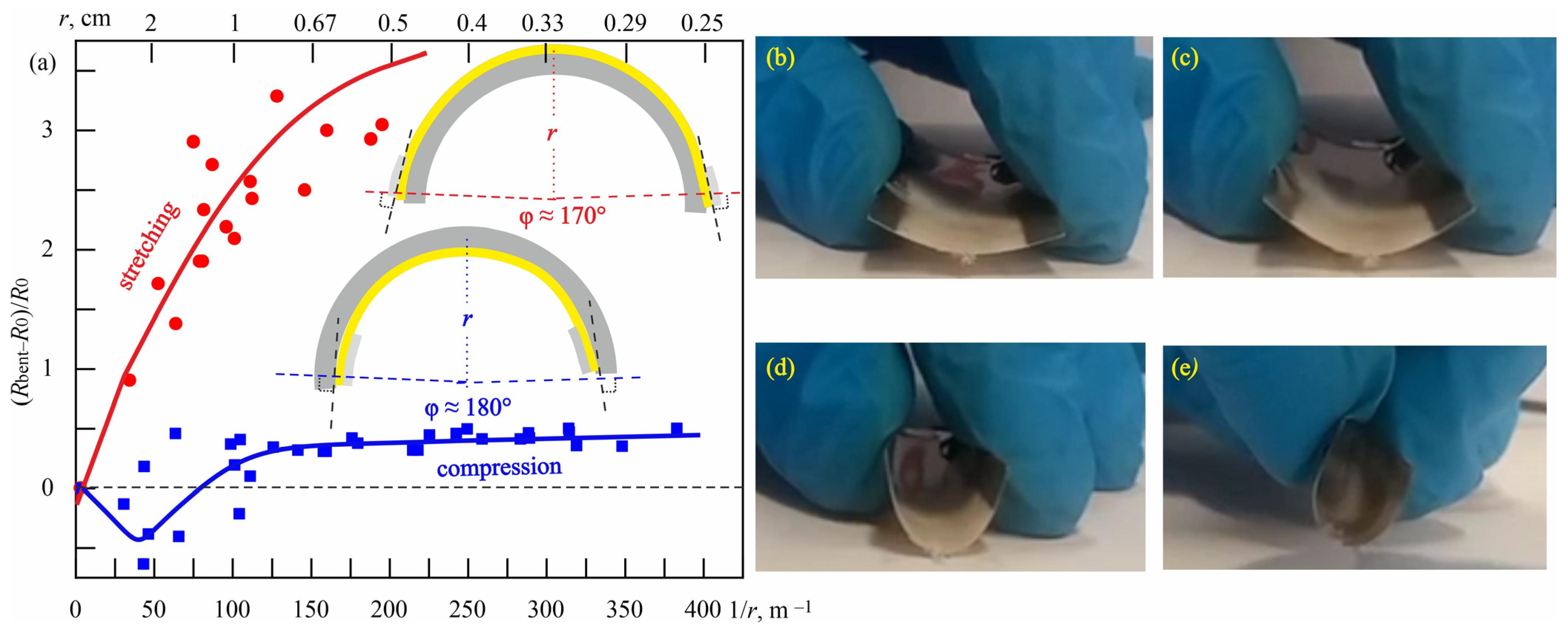 Chemosensors 13 00029 g012
