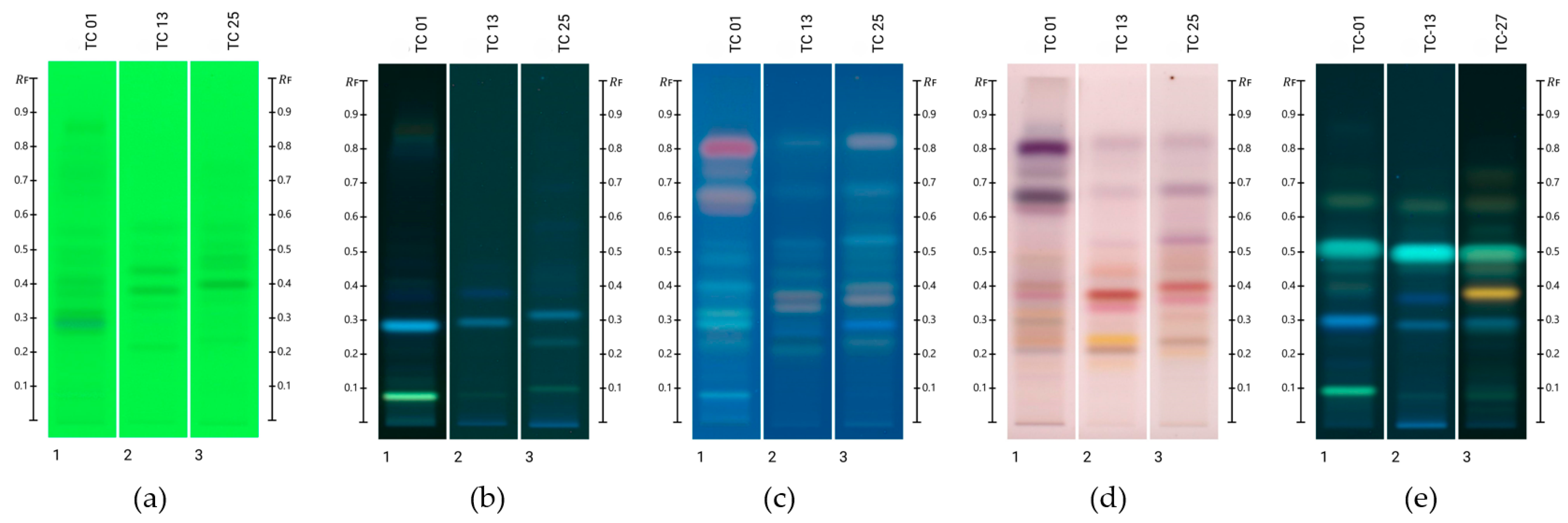Chemosensors 13 00030 g001