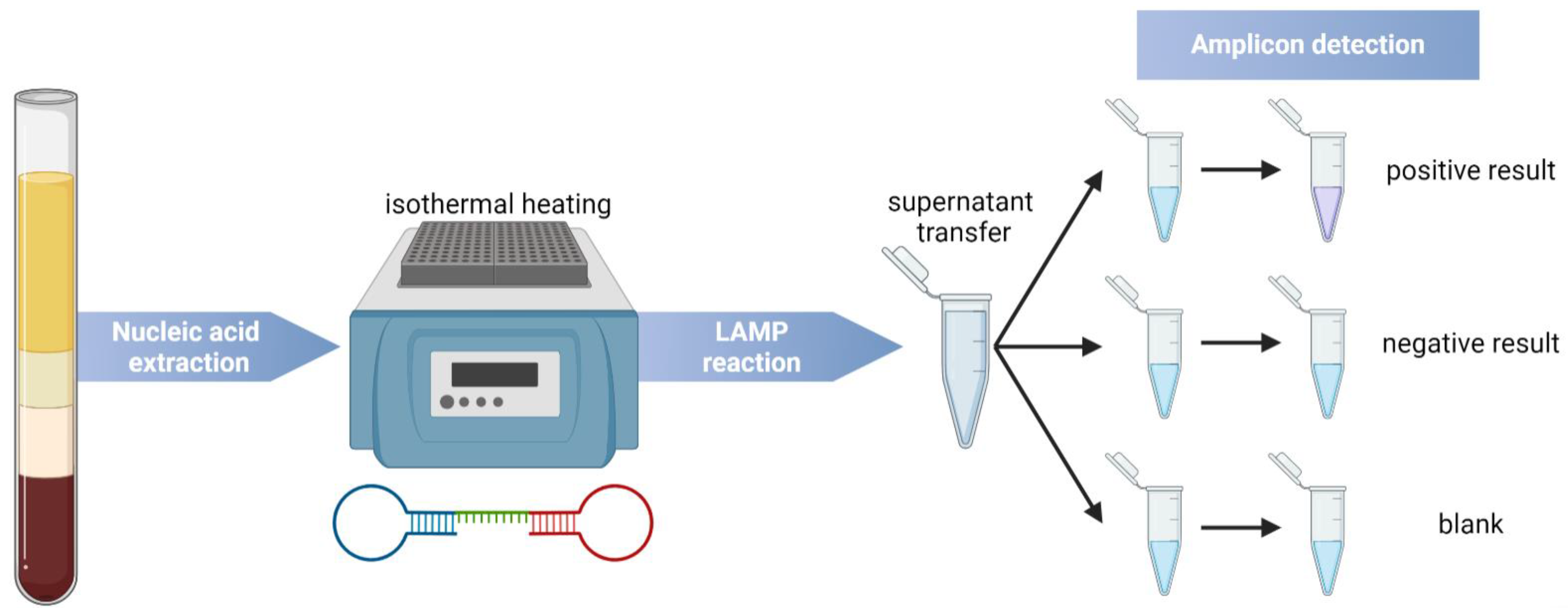 Chemosensors 13 00031 g004