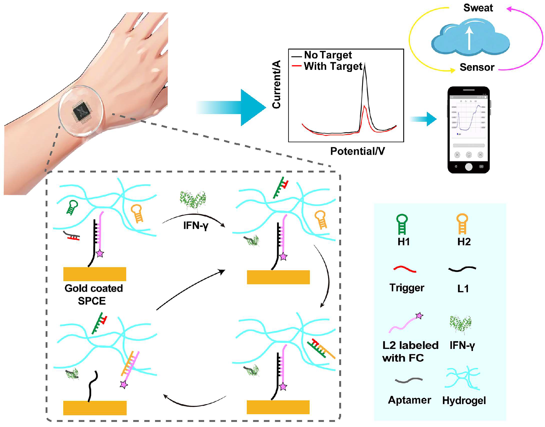 Chemosensors 13 00032 sch001