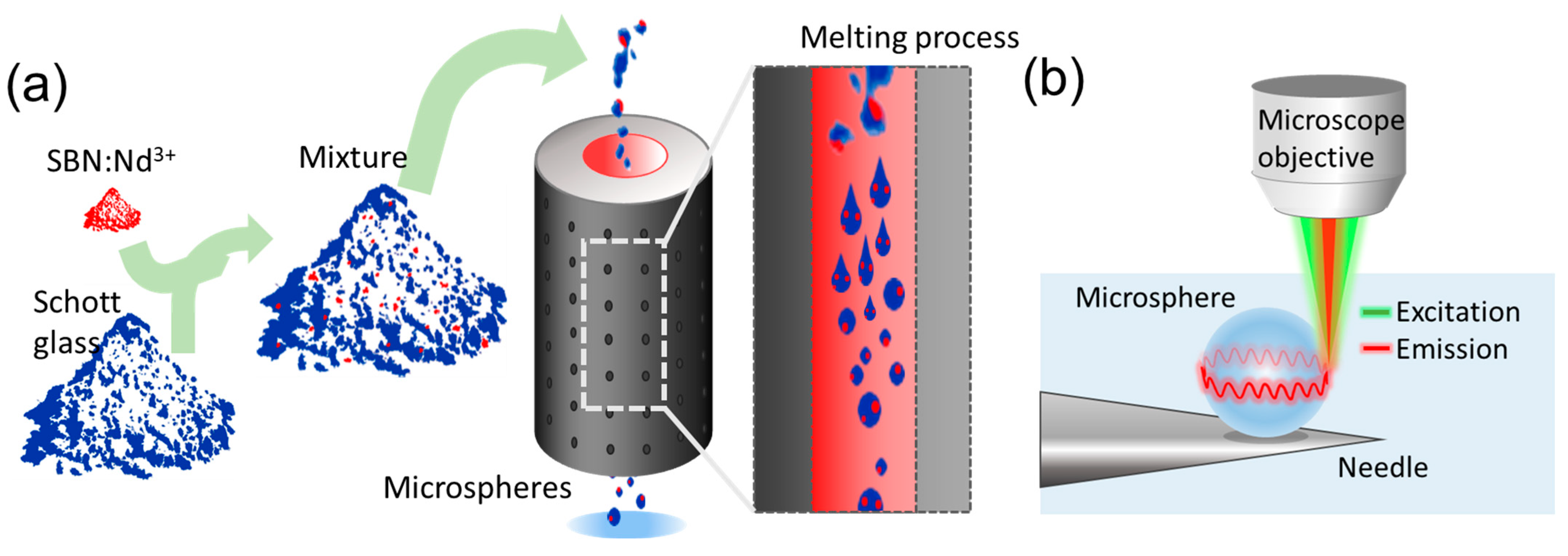 Chemosensors 13 00033 g001