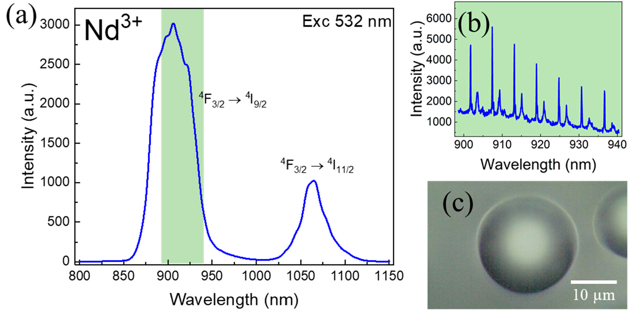 Chemosensors 13 00033 g002