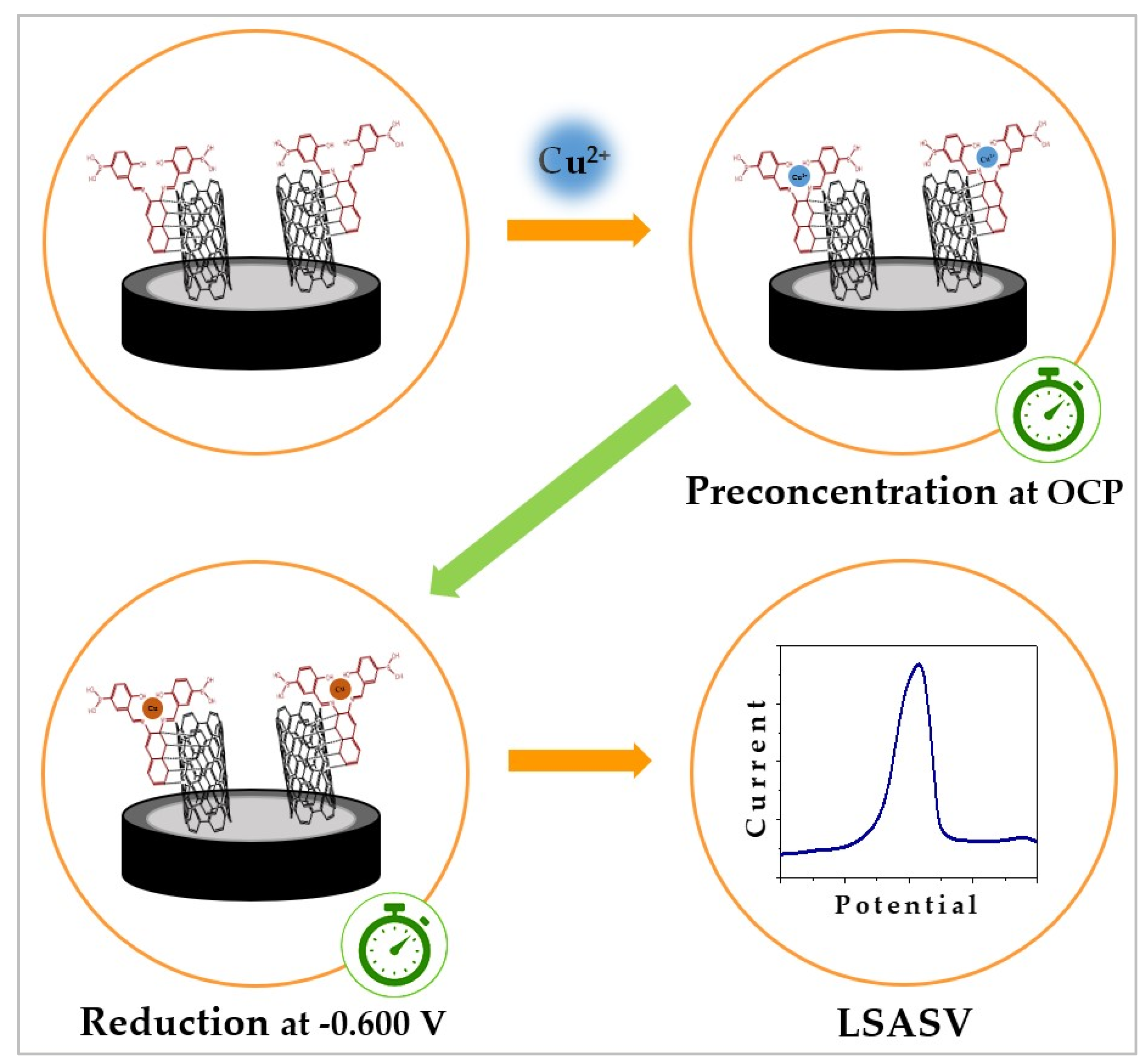 Chemosensors 13 00035 sch003