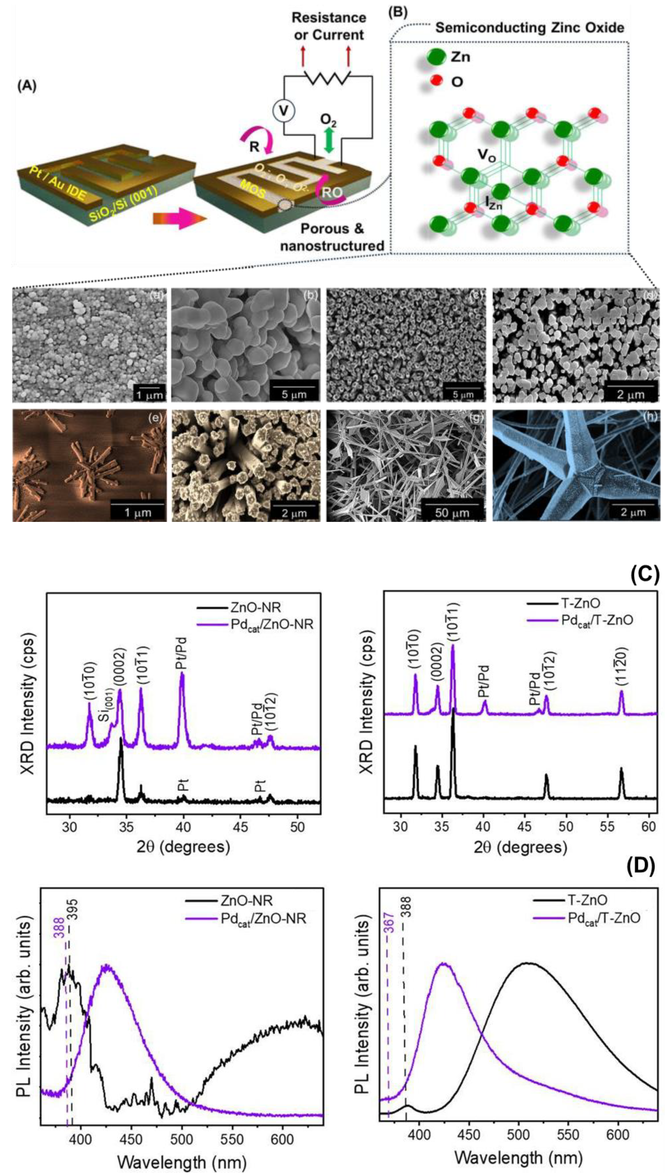 Chemosensors 13 00038 g002 Chemosensors 13 00038 g002