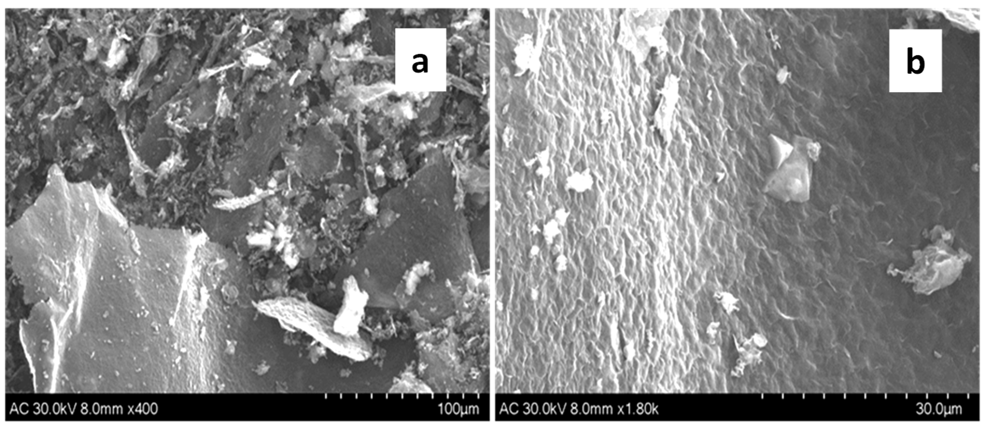 Chemosensors 13 00043 g001