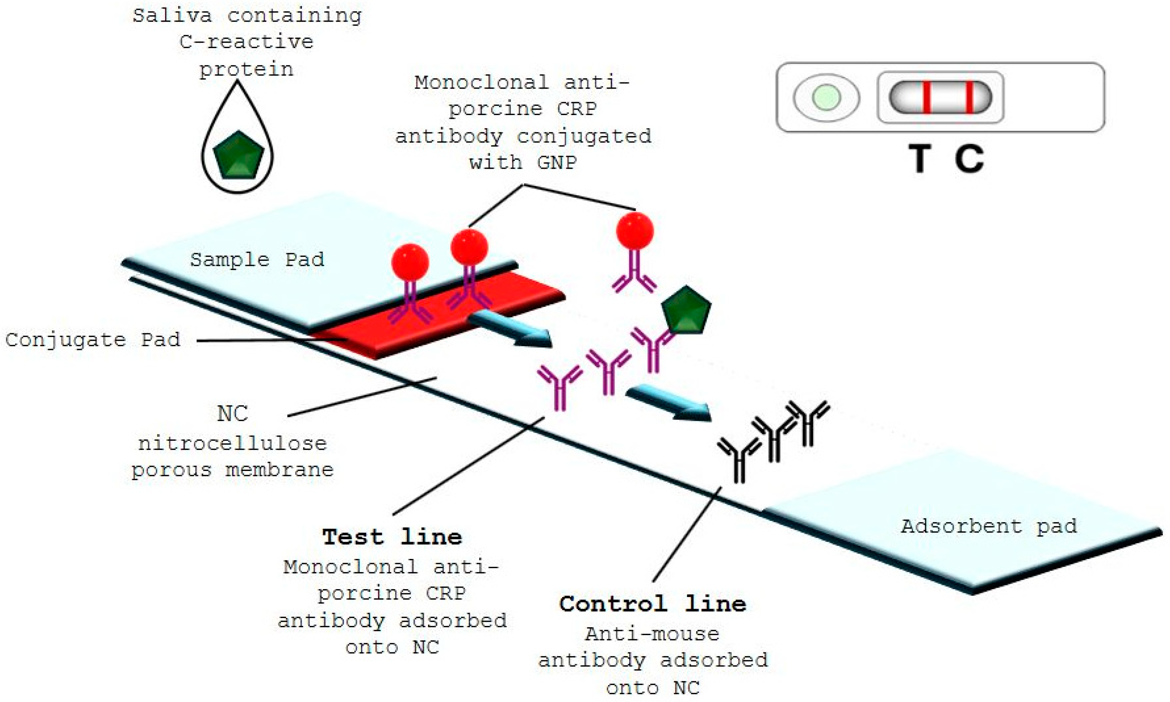 Chemosensors 13 00044 g001