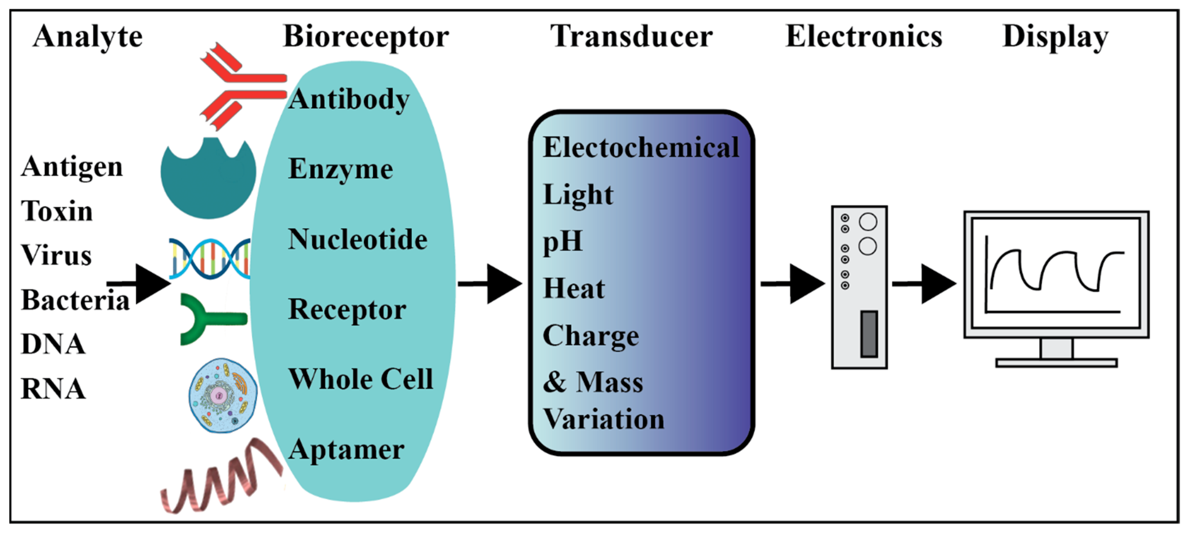 Chemosensors 13 00049 g001