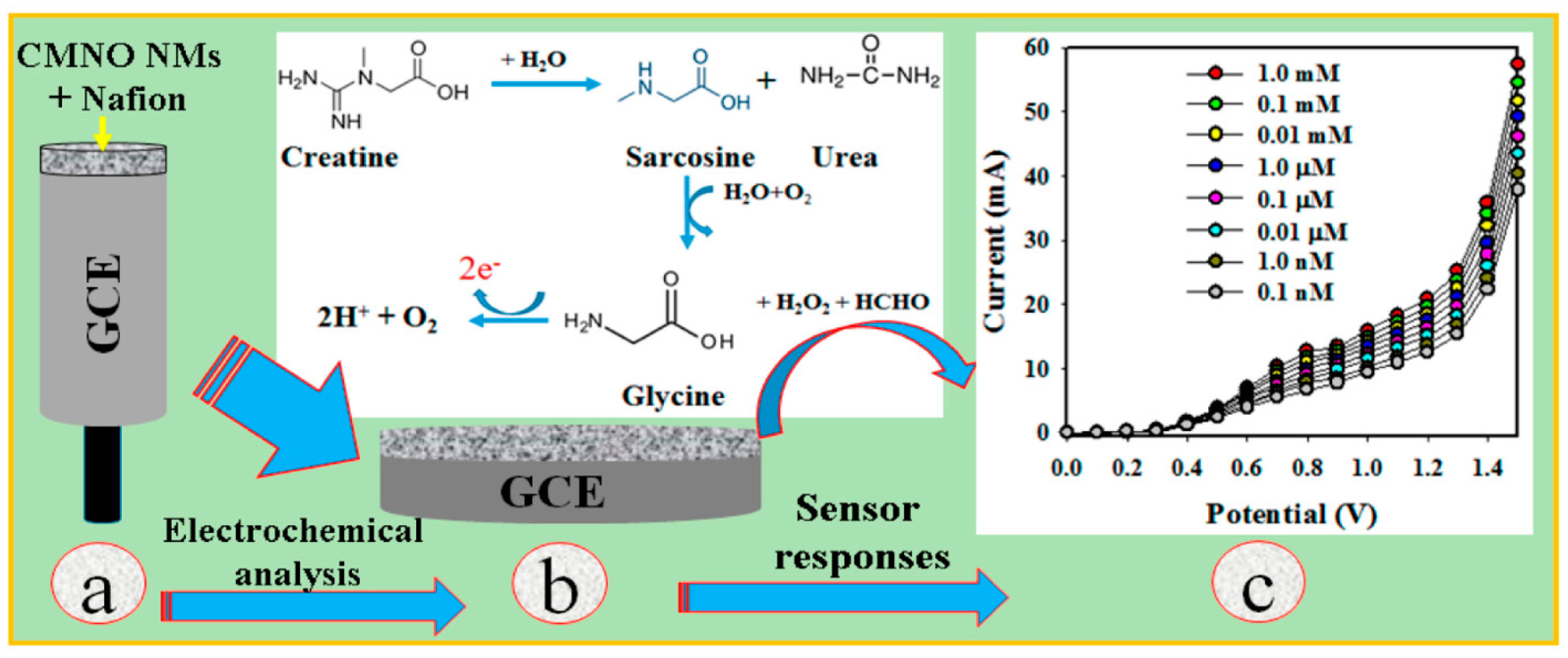 Chemosensors 13 00049 g006