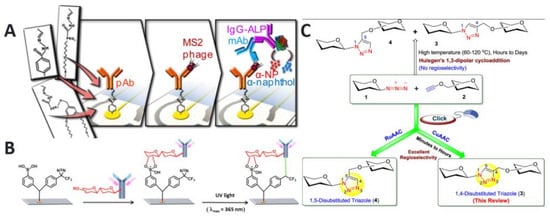 Chemosensors 13 00050 g011