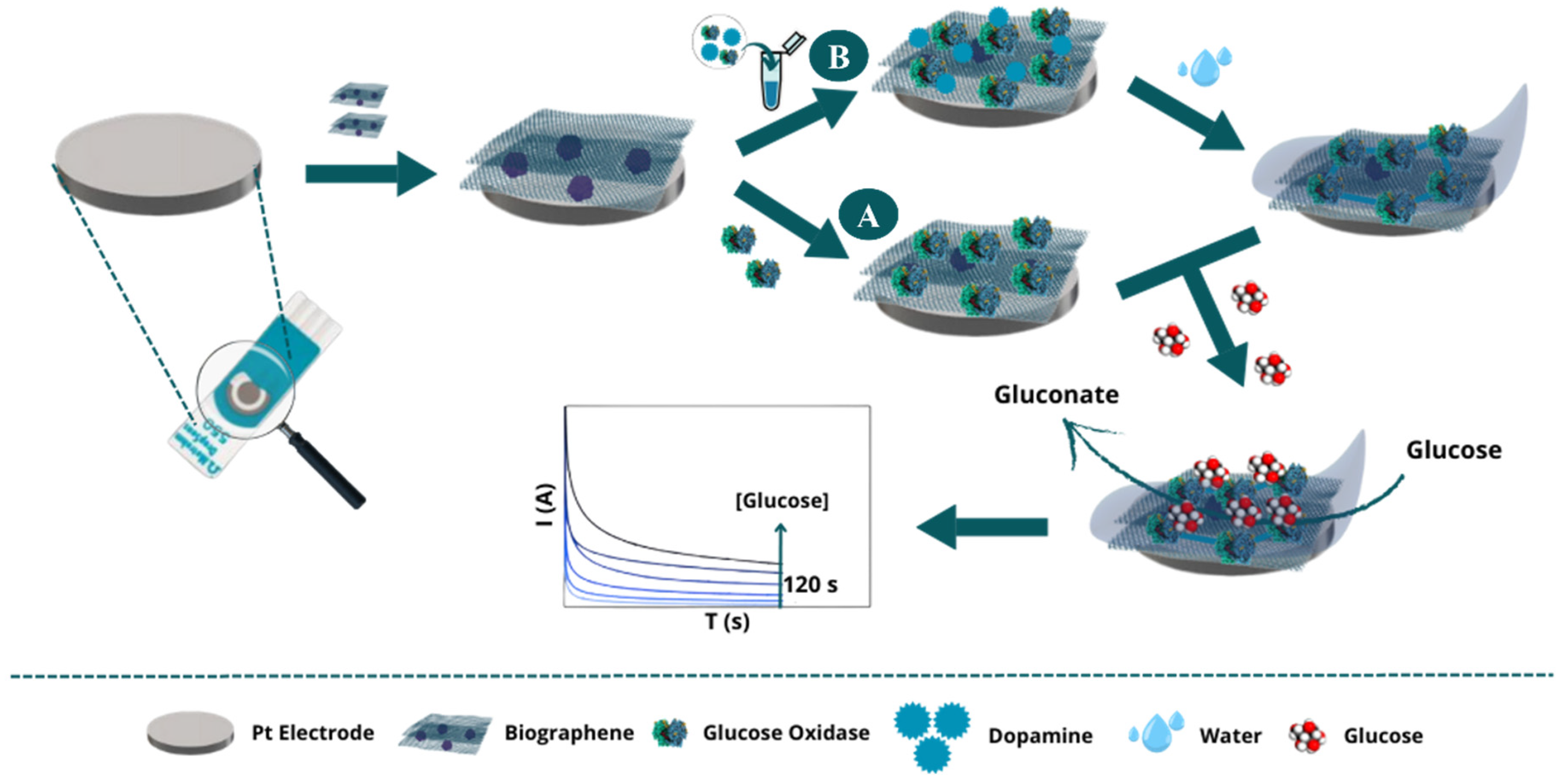 Chemosensors 13 00052 g001
