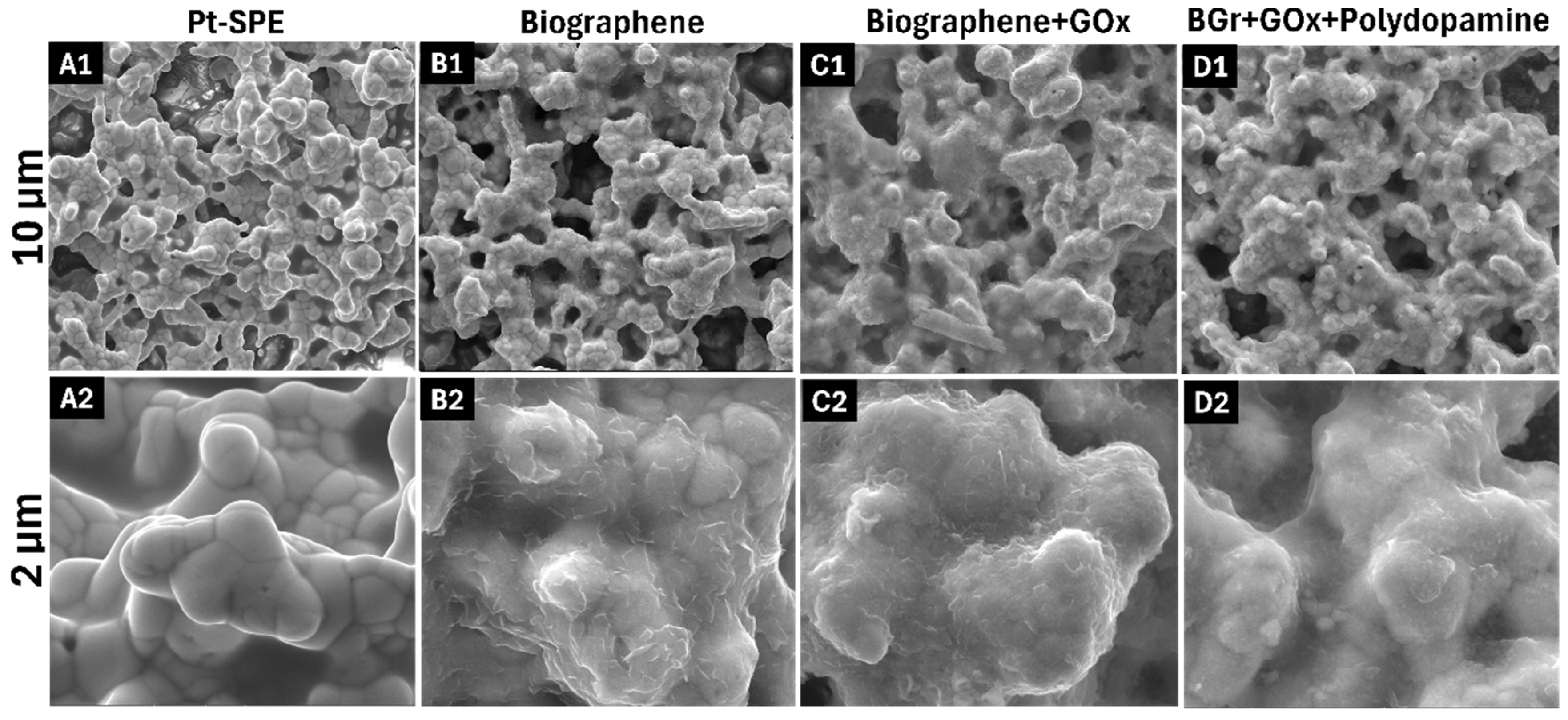 Chemosensors 13 00052 g003