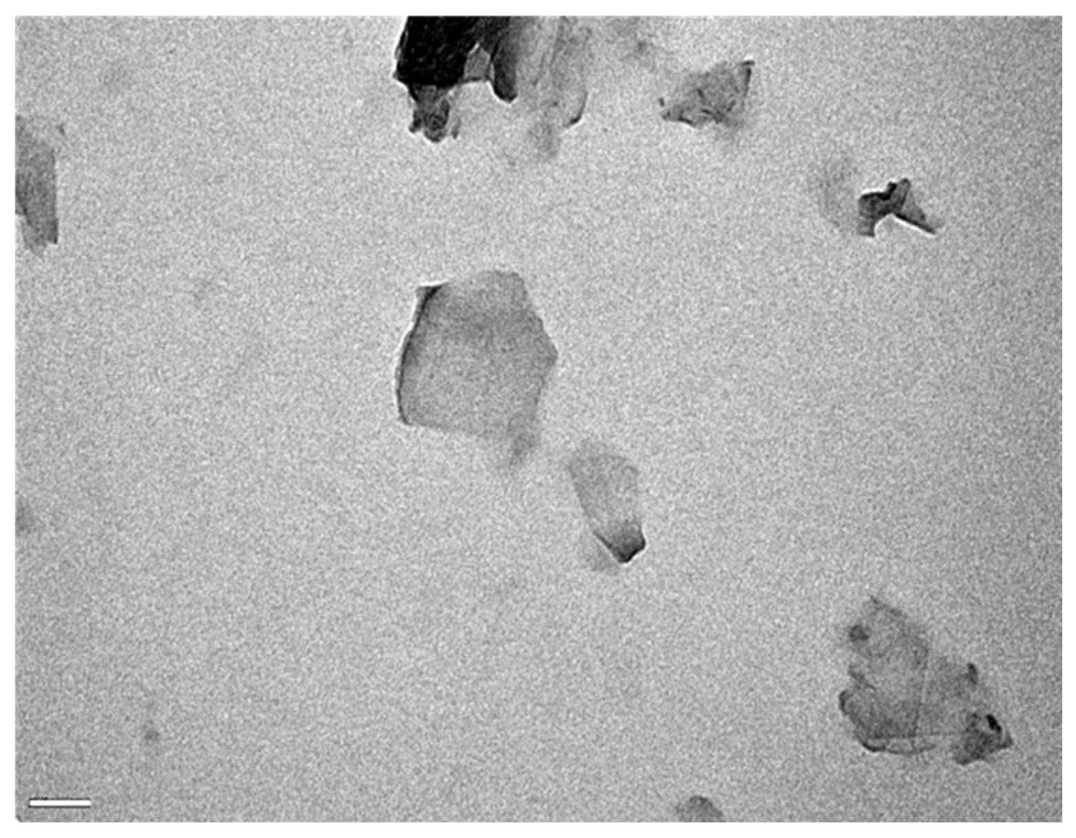 Chemosensors 13 00052 g004