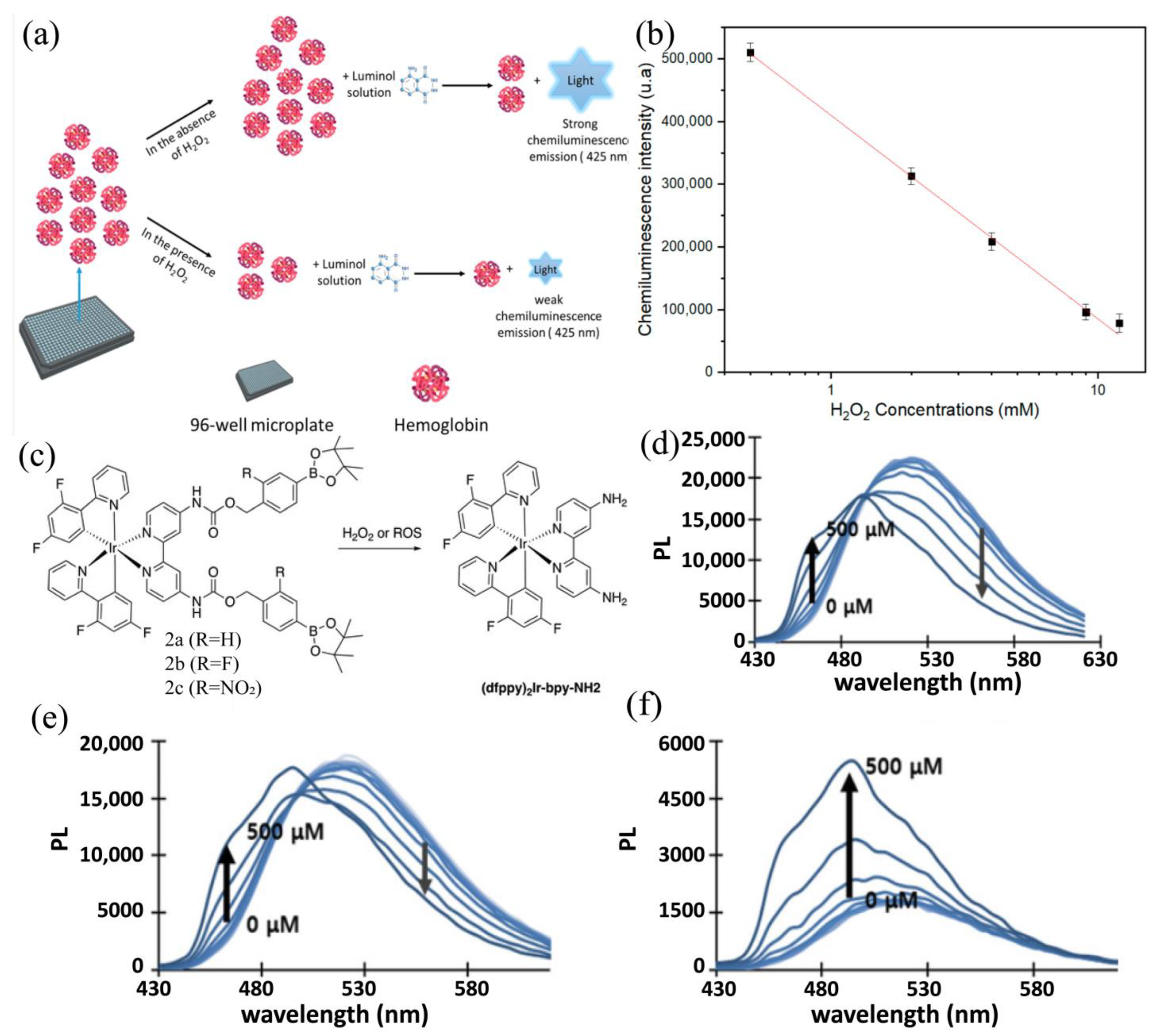 Chemosensors 13 00054 g004