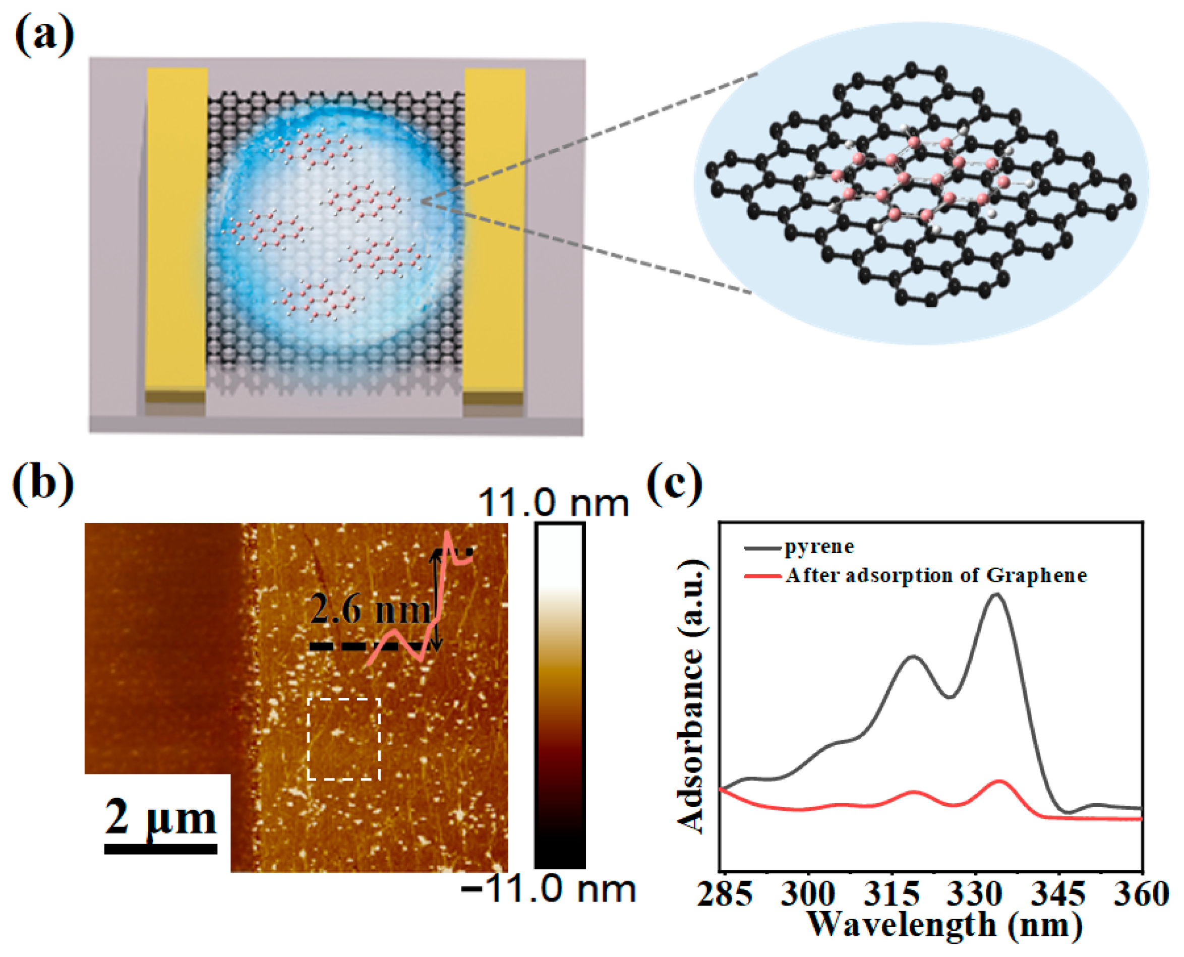 Chemosensors 13 00056 g002