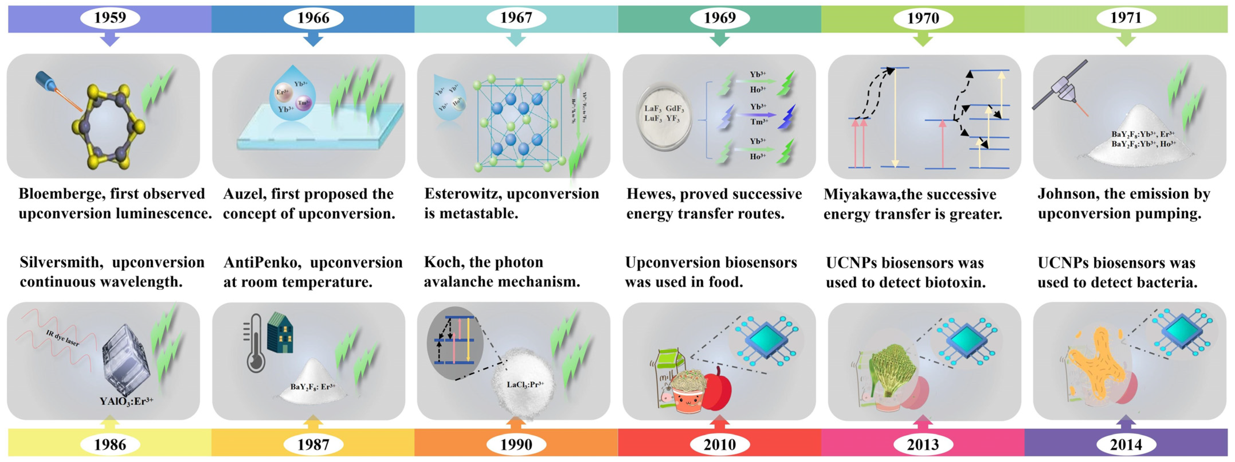 Chemosensors 13 00060 g001