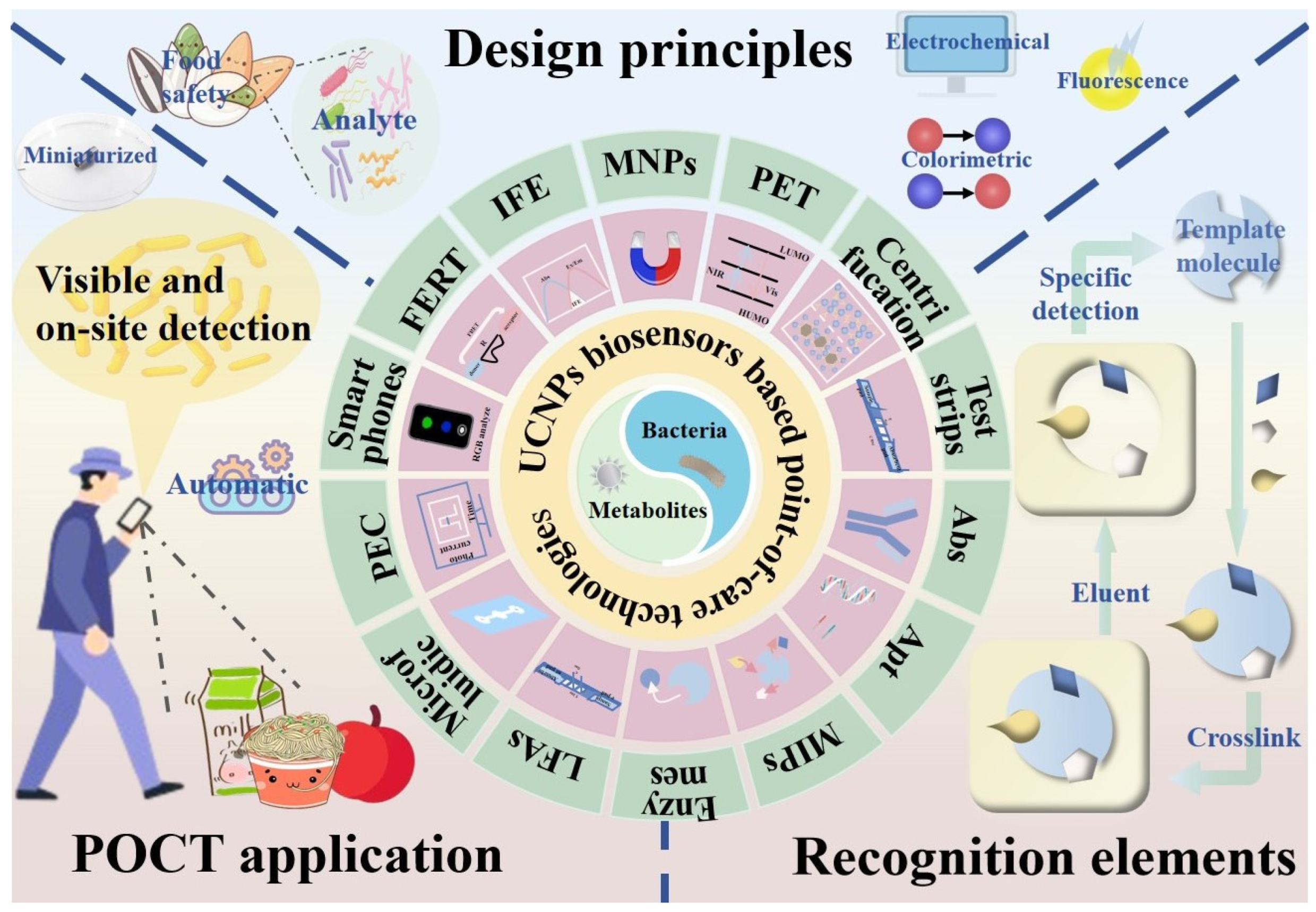 Chemosensors 13 00060 g002