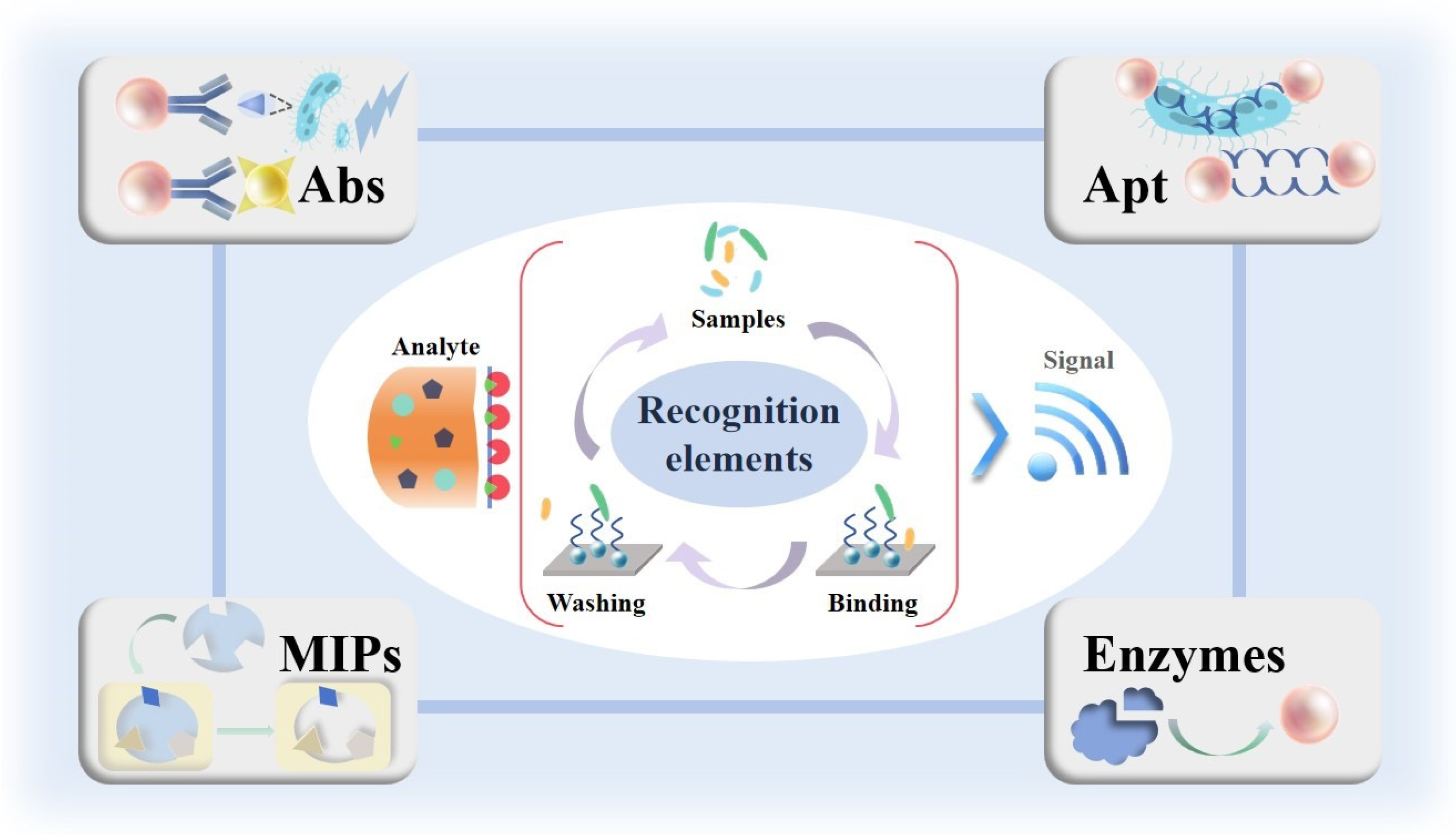 Chemosensors 13 00060 g003