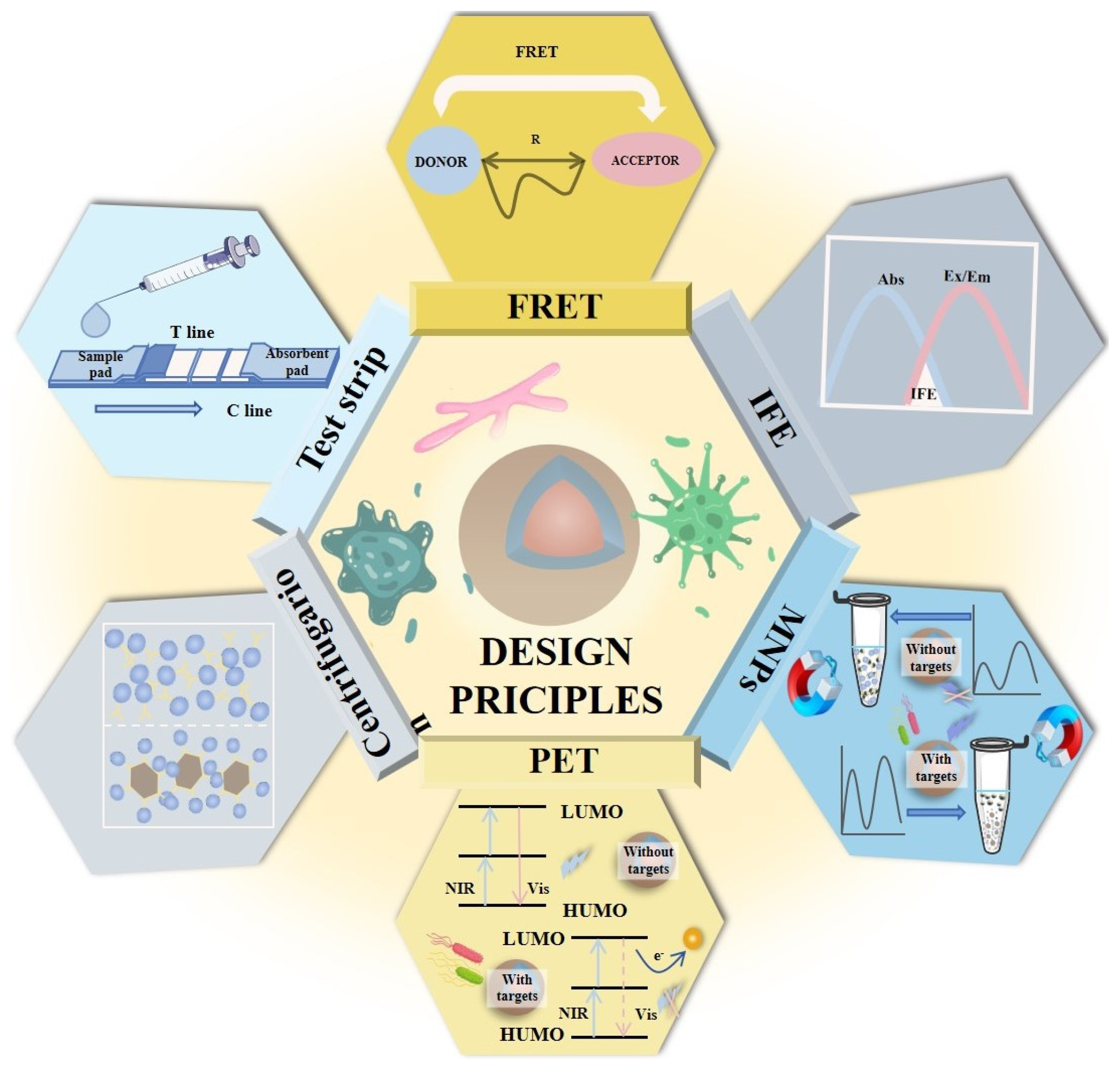 Chemosensors 13 00060 g004