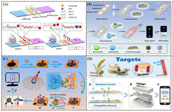 Chemosensors 13 00060 g005