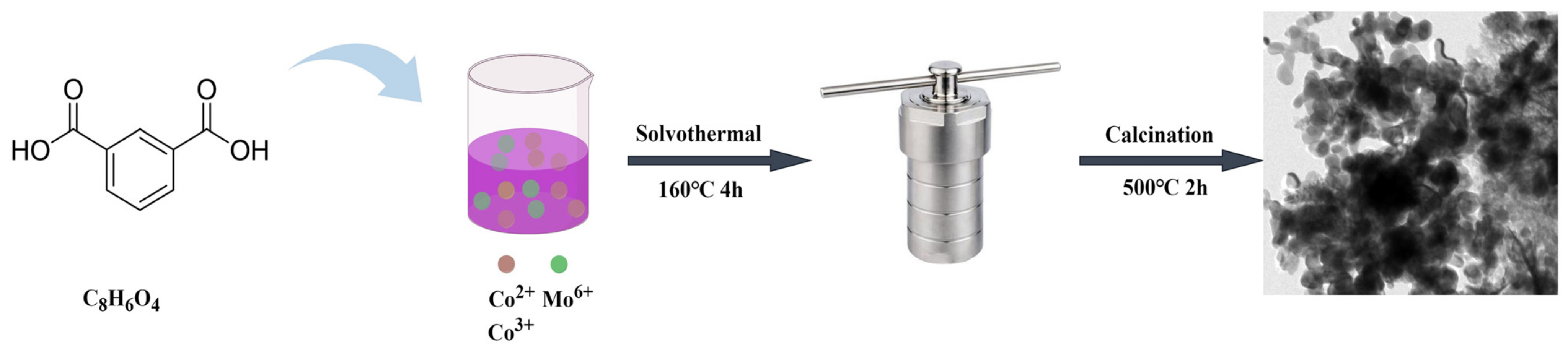 Chemosensors 13 00061 g001