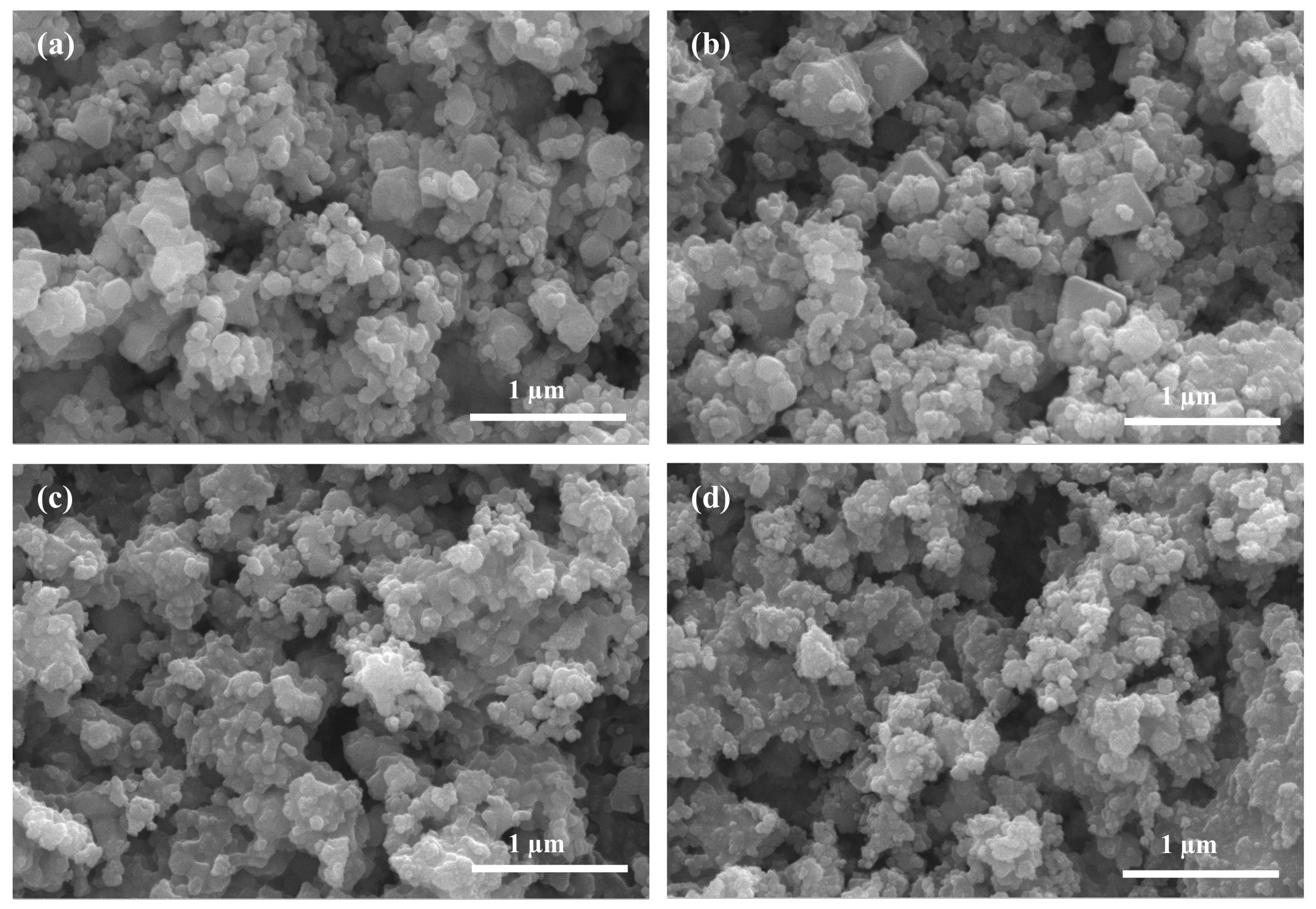 Chemosensors 13 00061 g004