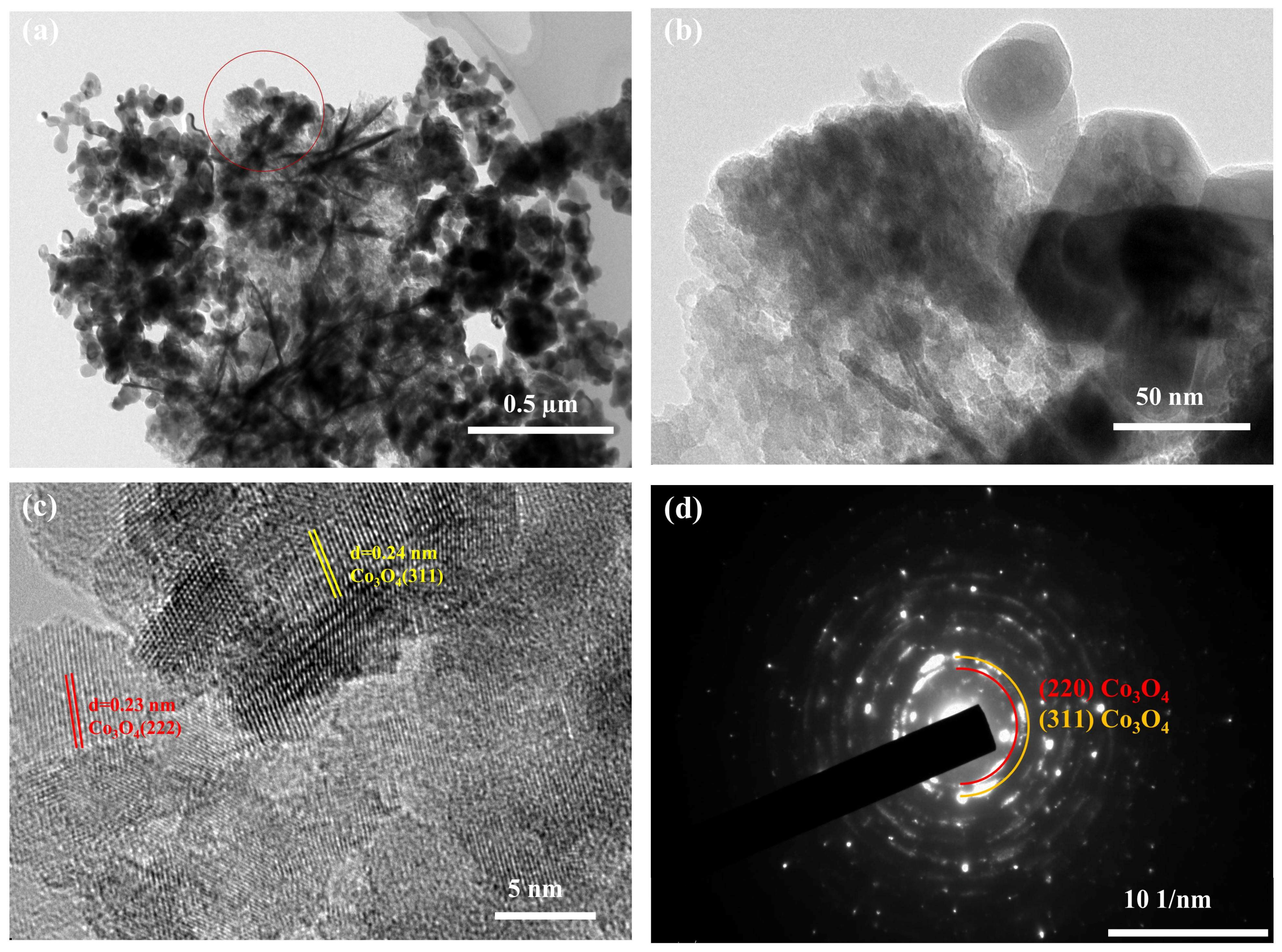 Chemosensors 13 00061 g005